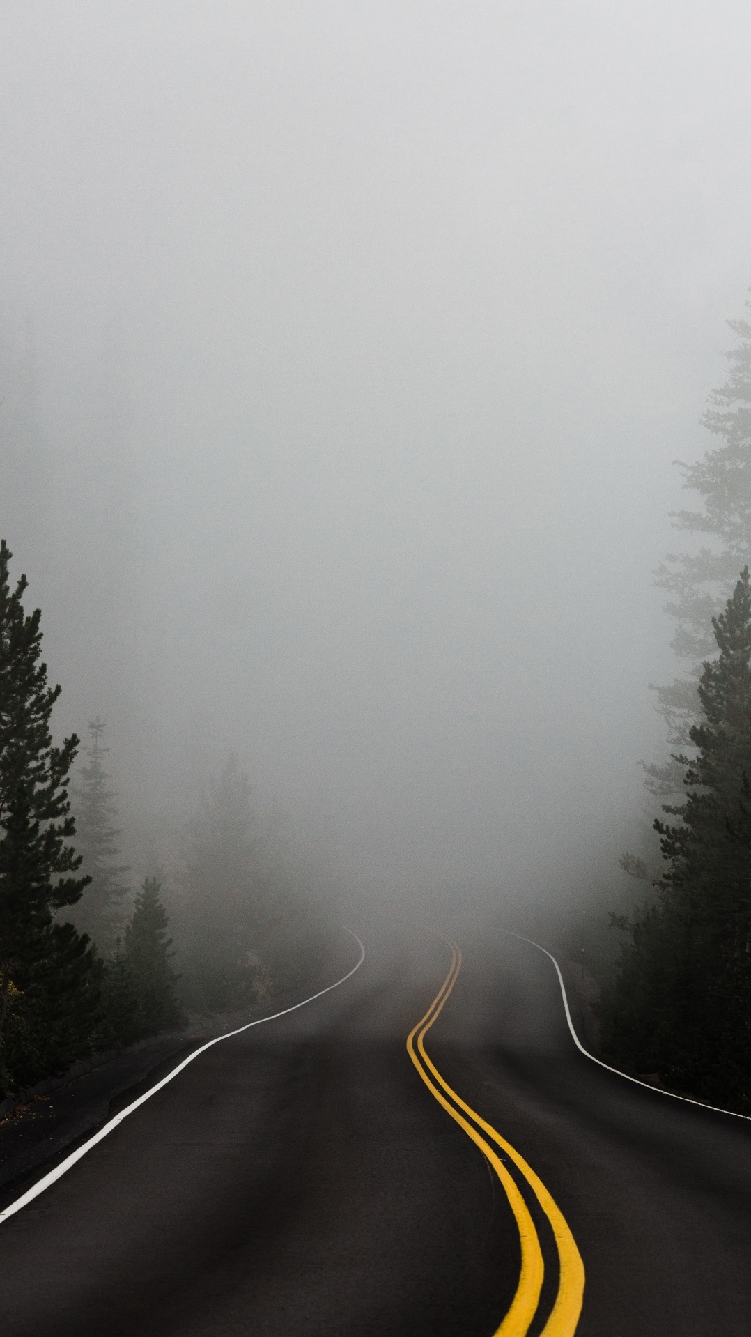 туман, мгла, зима, дымка, дерево
