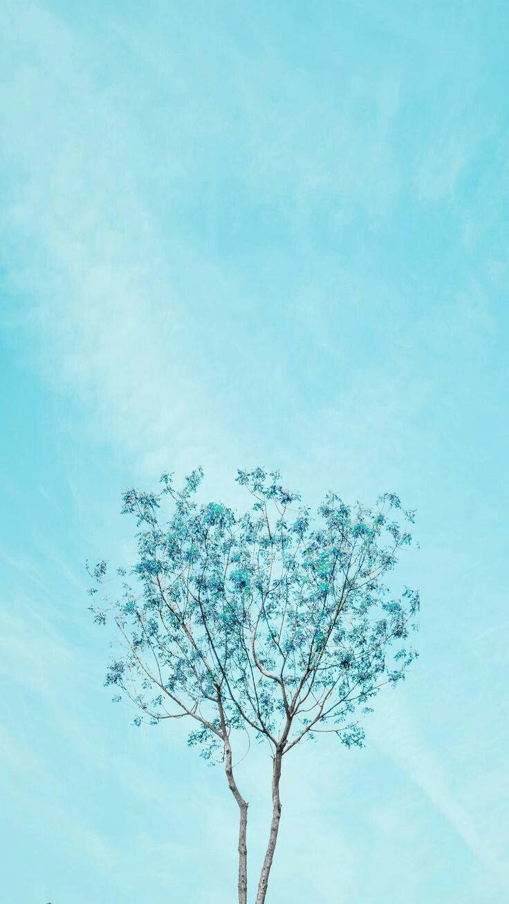 голубая пастель эстетичного одинокого дерева