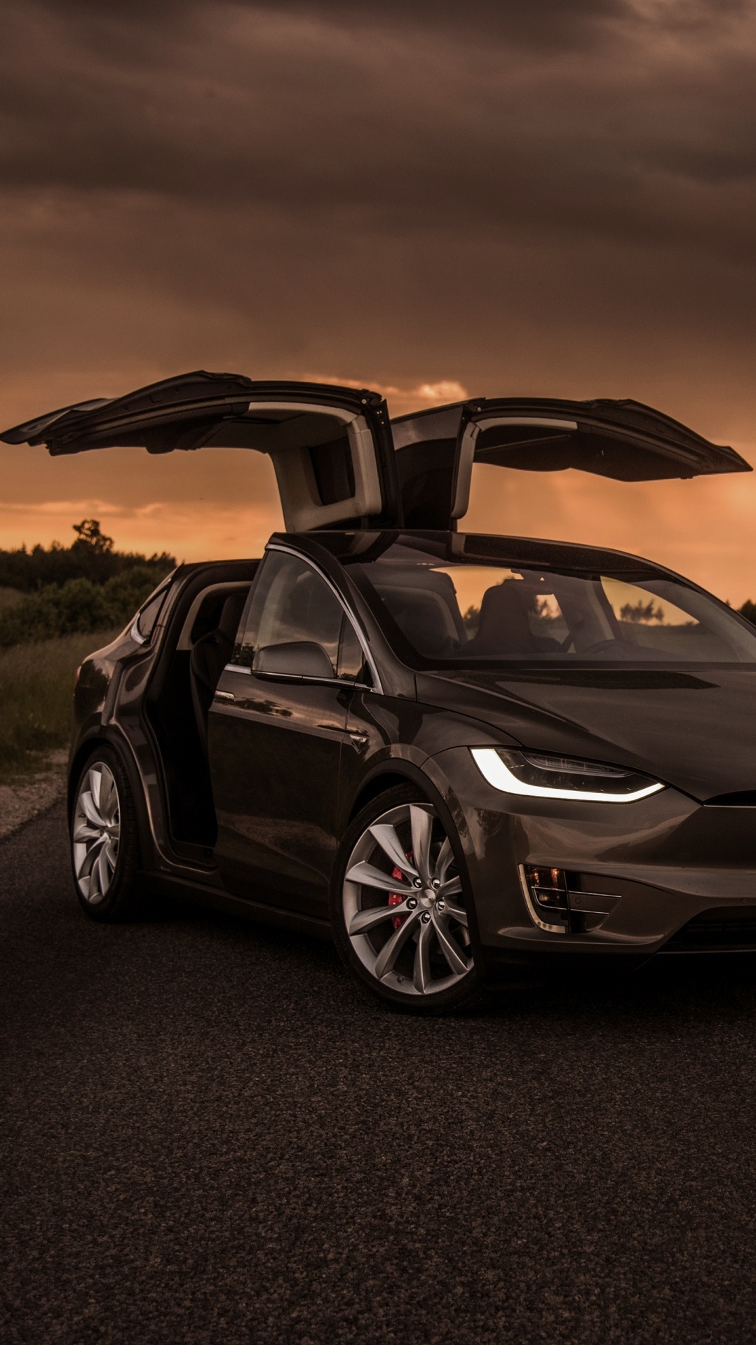 tesla model x, tesla model s, tesla, 2019 тесла модель х, авто