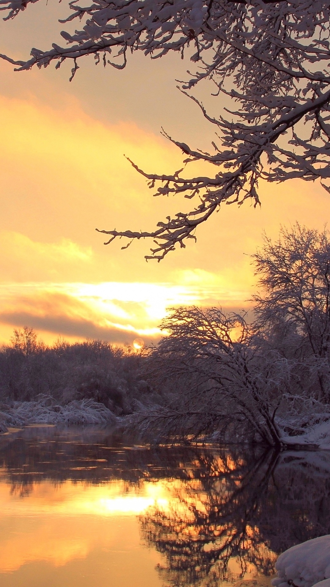 закат, природа, зима, восход солнца, дерево