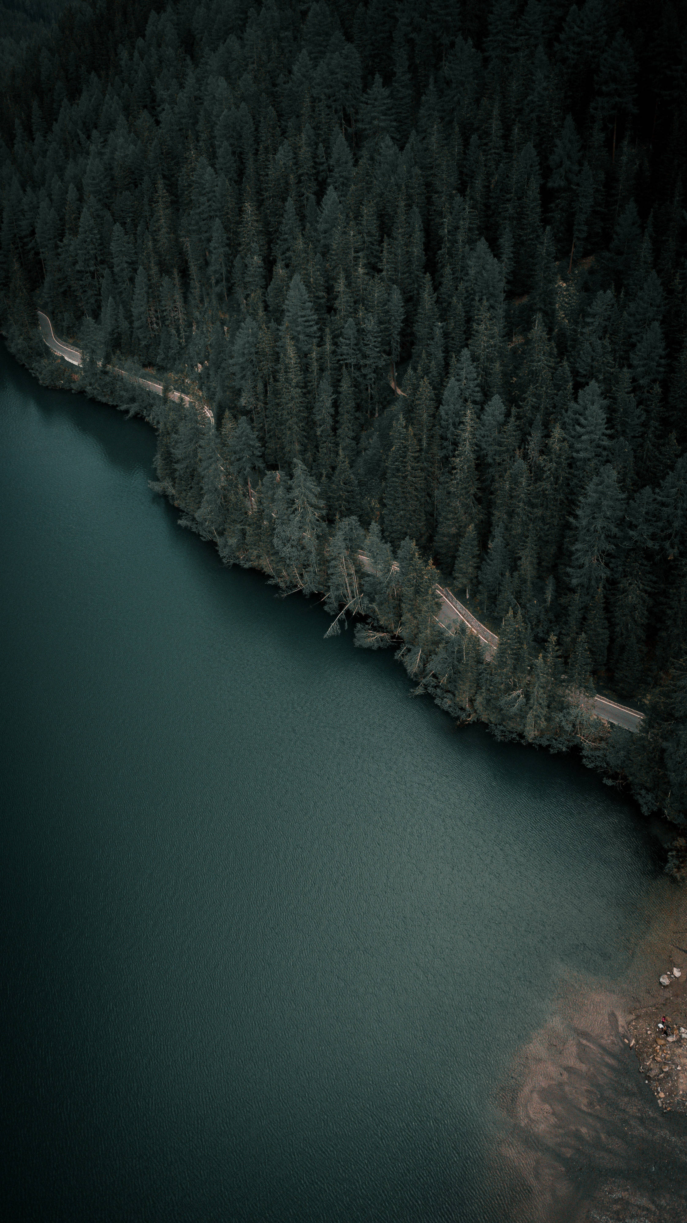 озеро рядом с темным лесом iphone