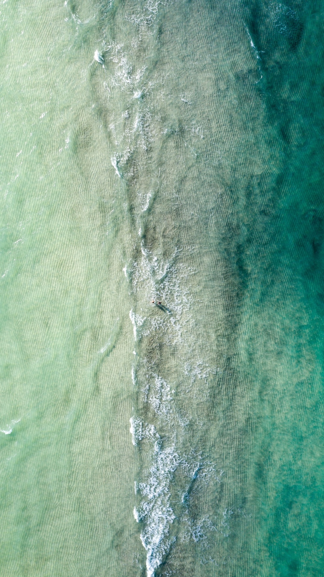 вода, дерево, бирюза, аква, зеленый