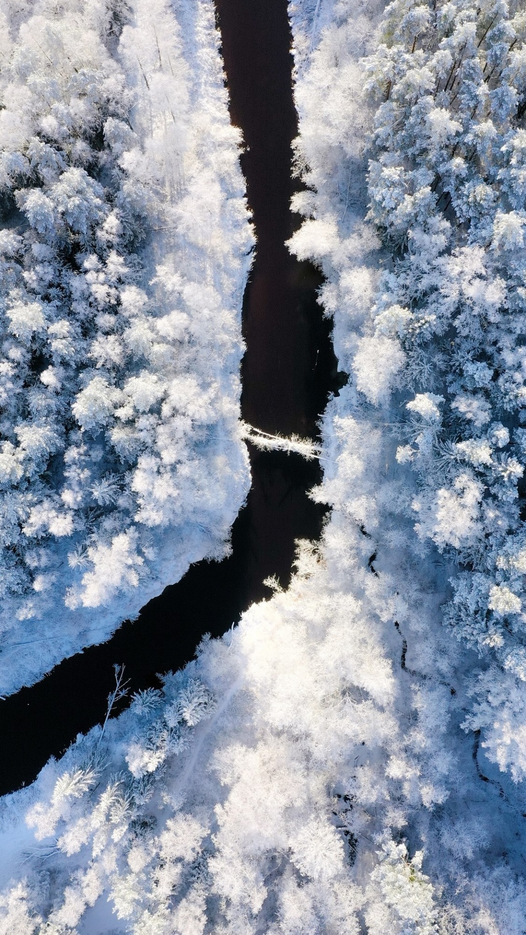 снег, вода, зимняя дорога, снег дорога, зима