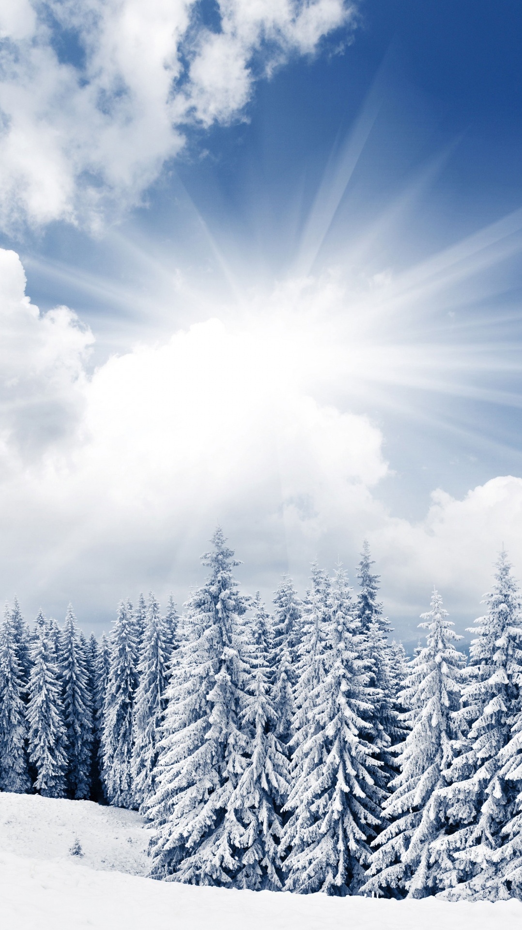 снег, яркий зимний день, зима, дневное время, дерево