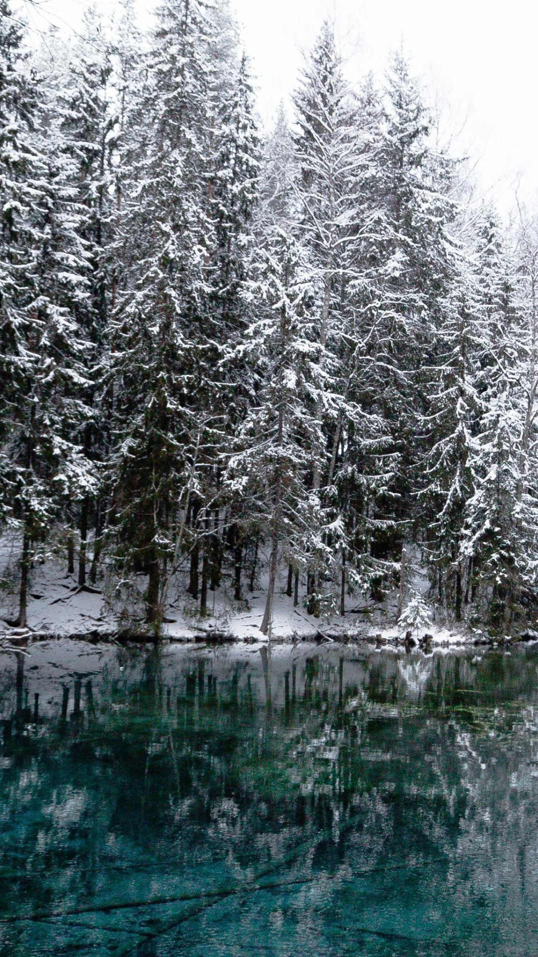 дерево, снег, зима, kiikunlhde, природа