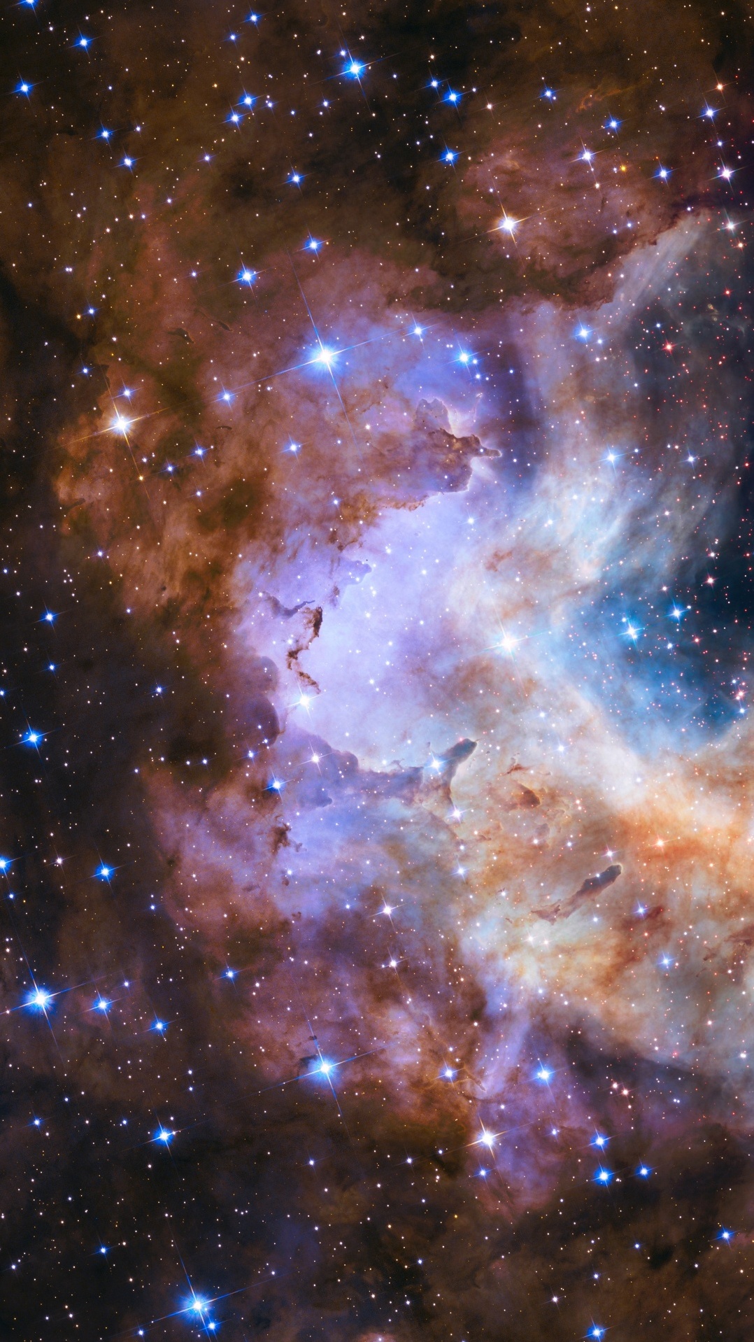 звездное скопление, звезда, космический телескоп хаббл, туманность, звездный питомник
