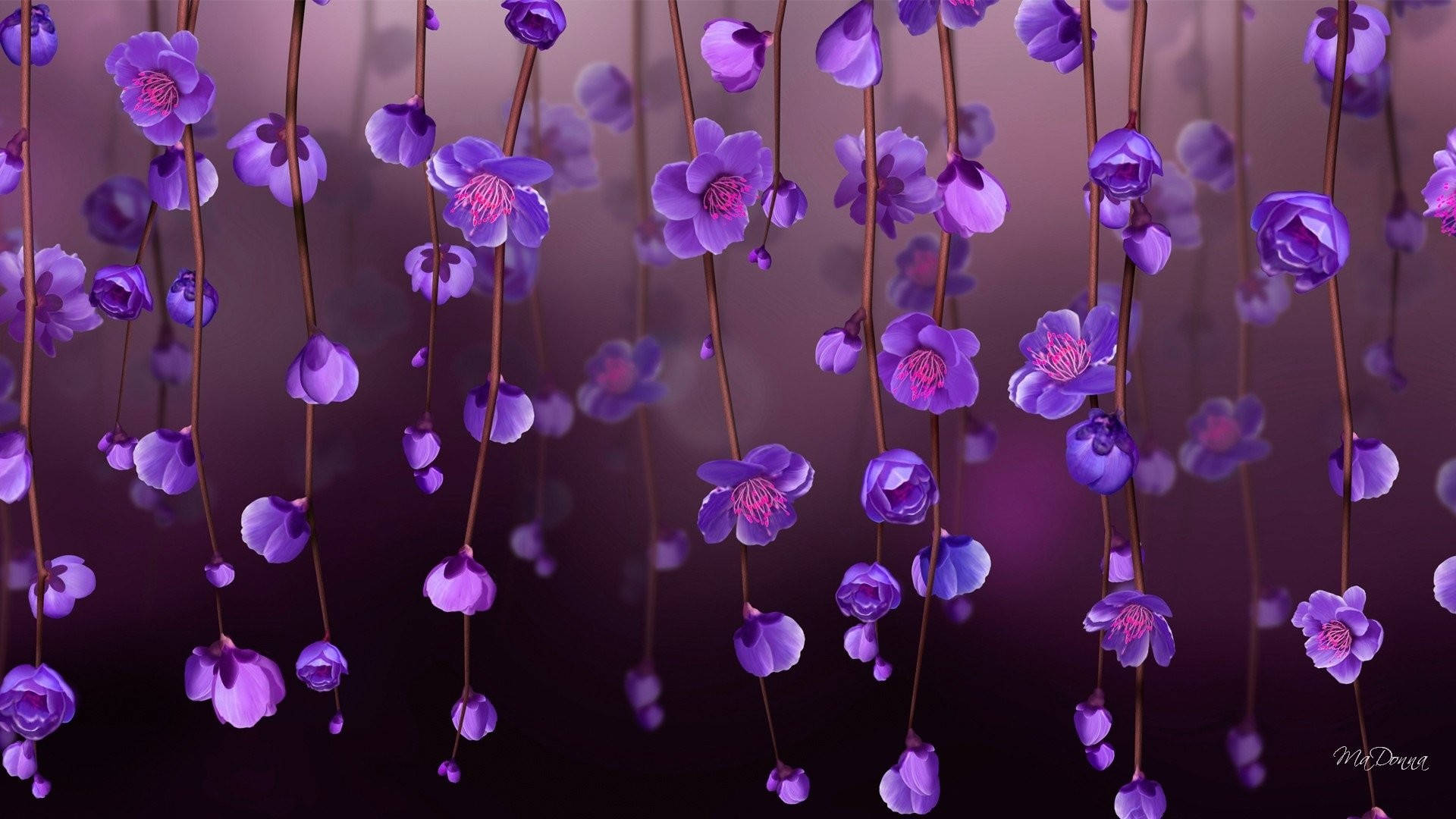 фиолетовые мини-цветы