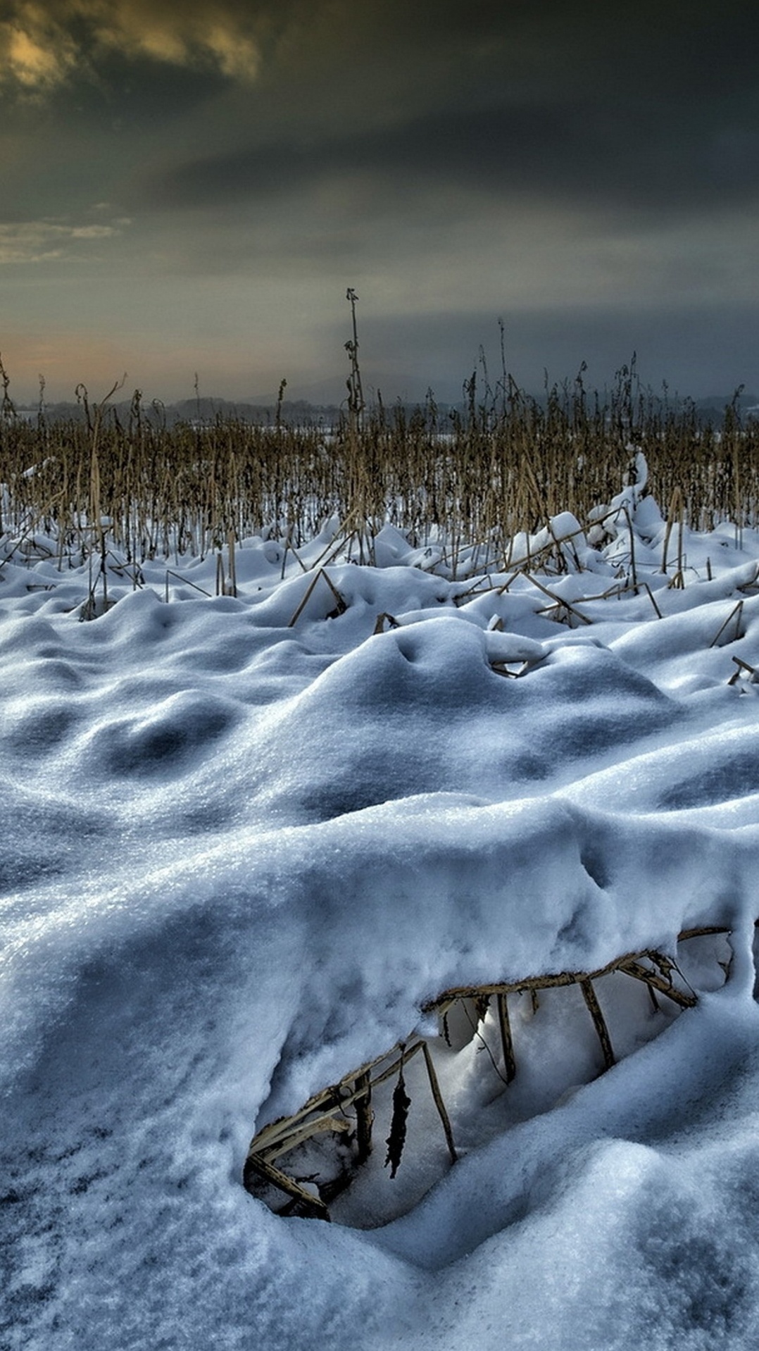 зима, природа, финляндия, снег, природный ландшафт
