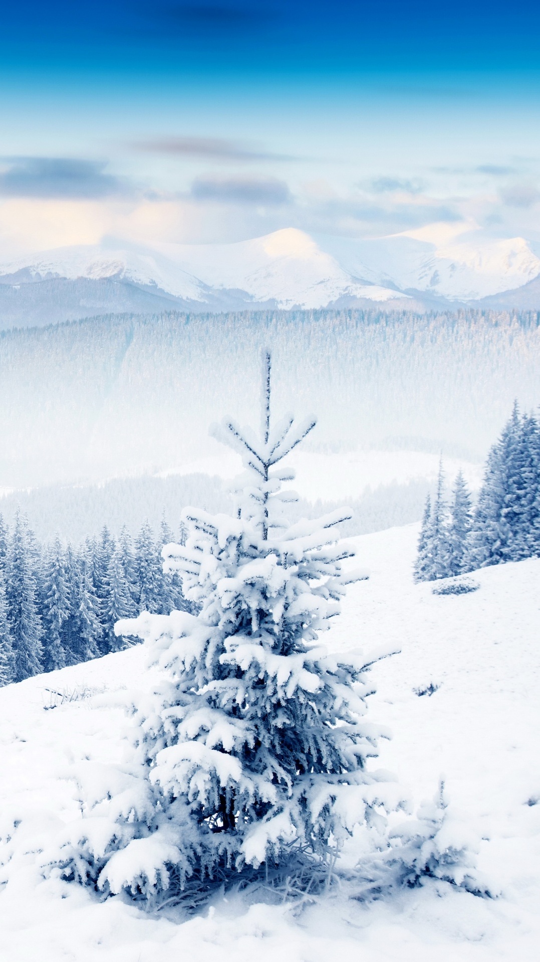 гора, замораживание, зима, снег, дерево