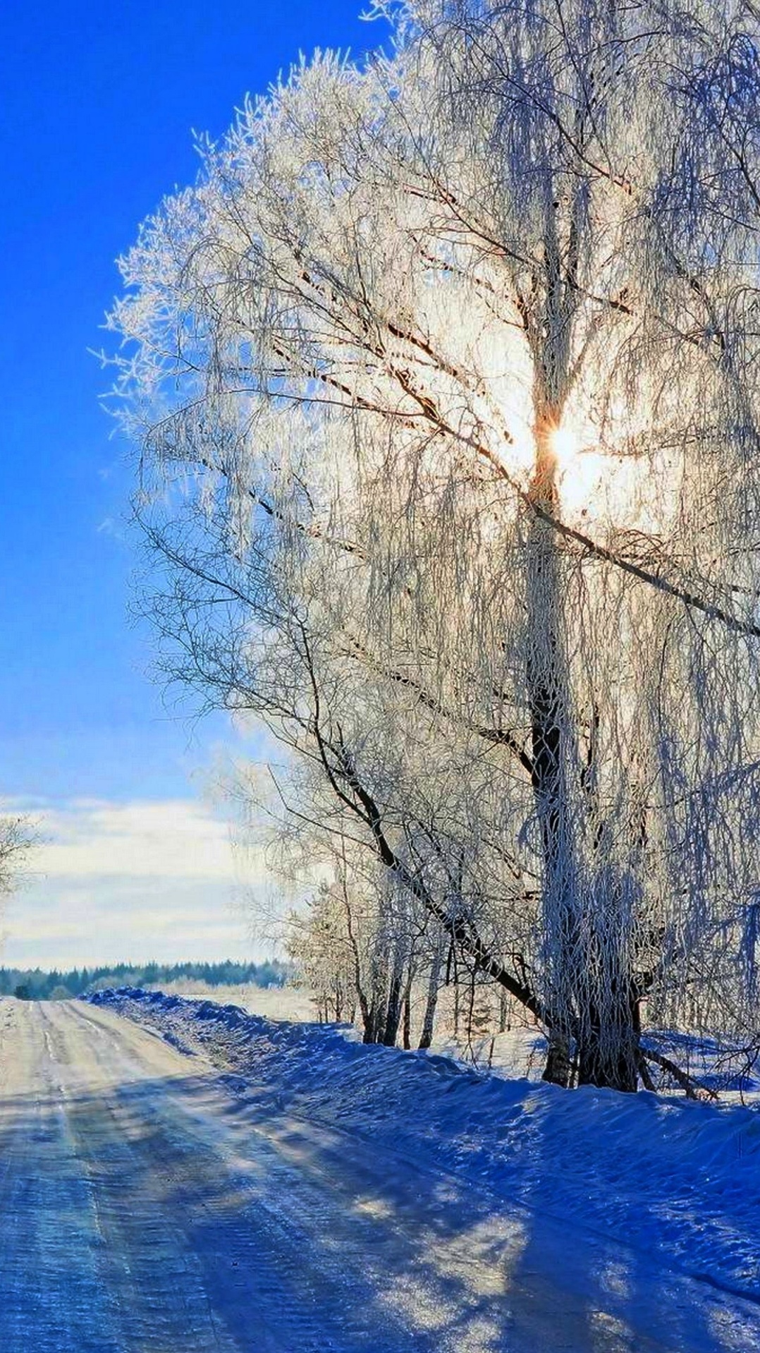 зима, снег, дерево, природный ландшафт, природа