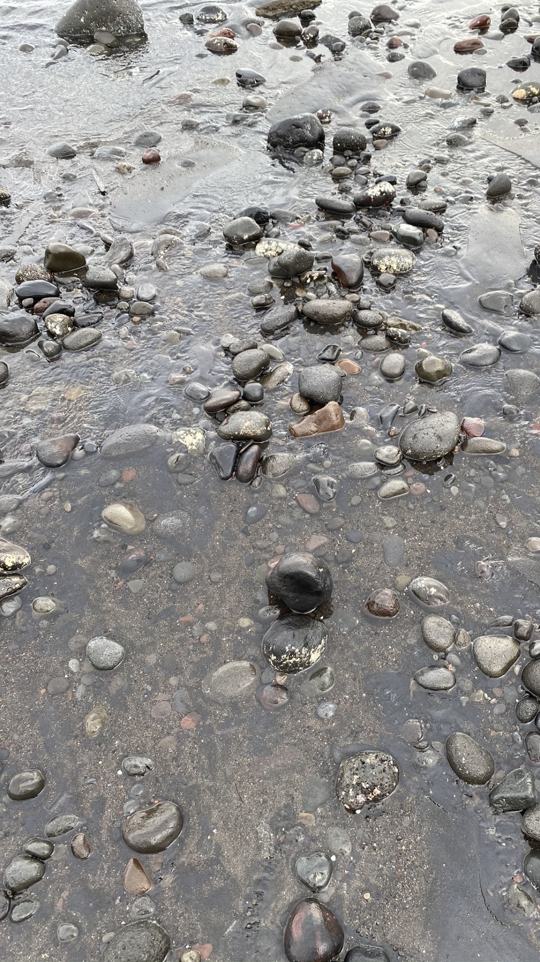 серый цвет, рок, вода, русло ручья, мадфлэт