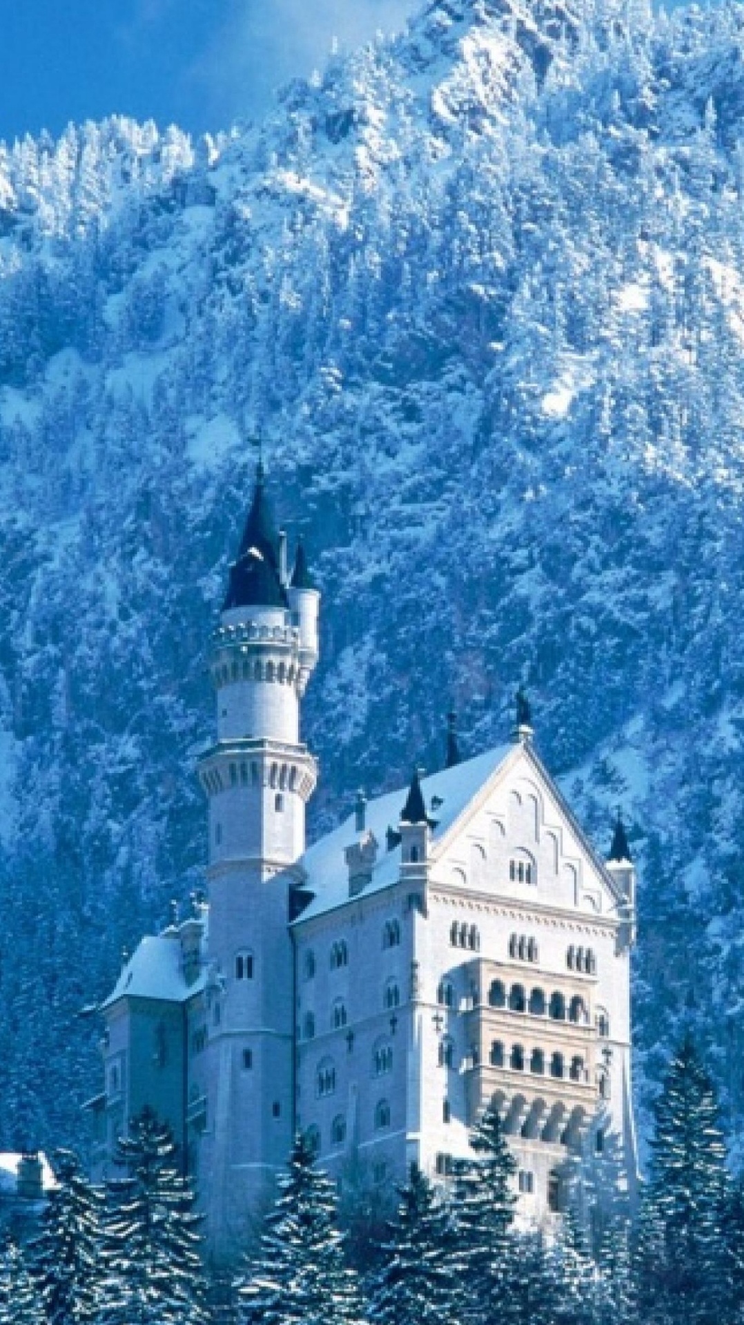 замок, замок нойшванштайн, ориентир, зима, природа