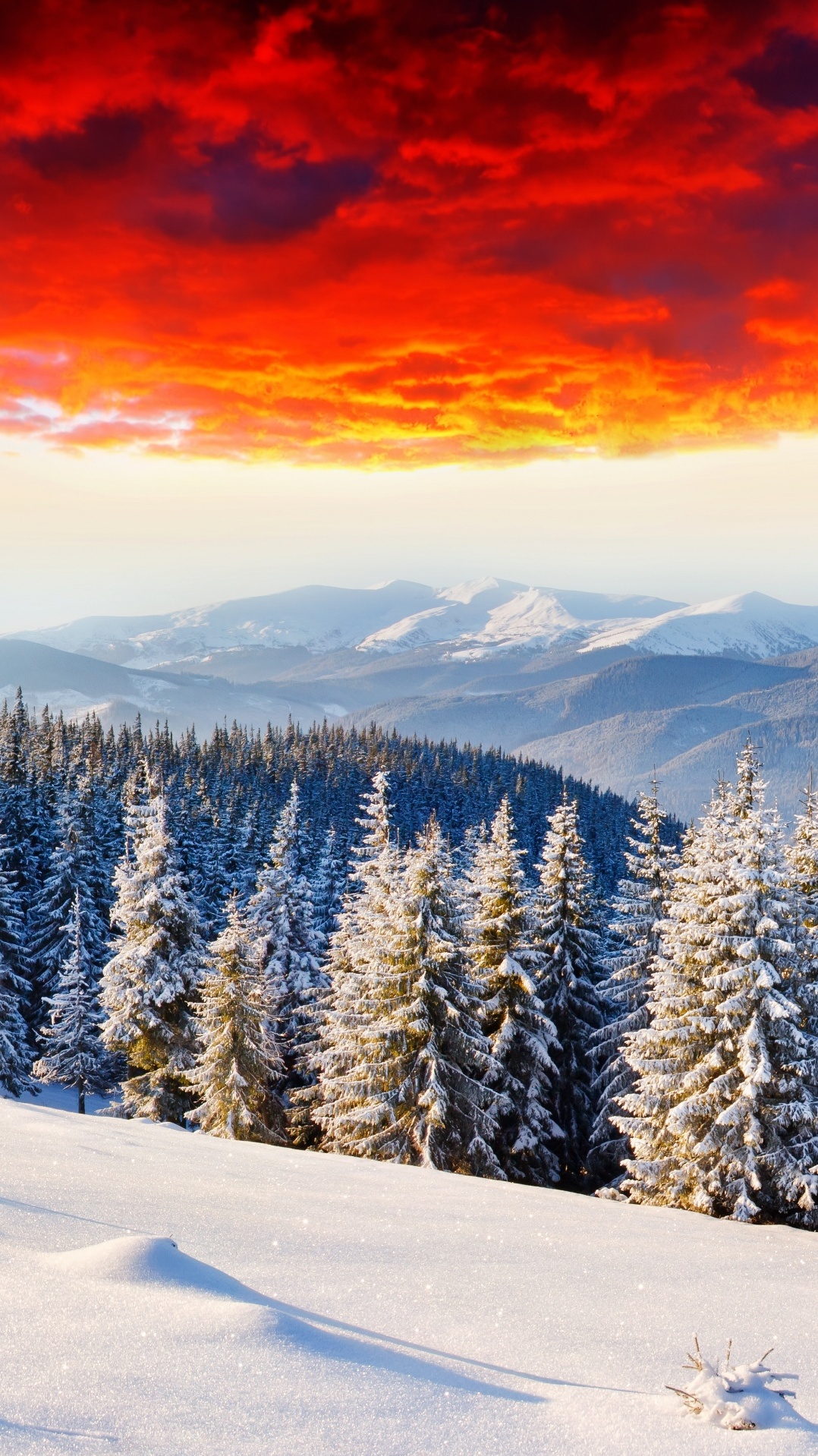 горный рельеф, гора, зима, снег, дерево