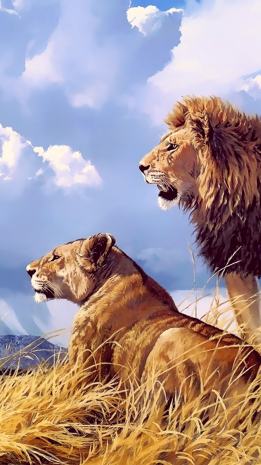 тигр, живая природа, масаи лев, большая кошка, лев