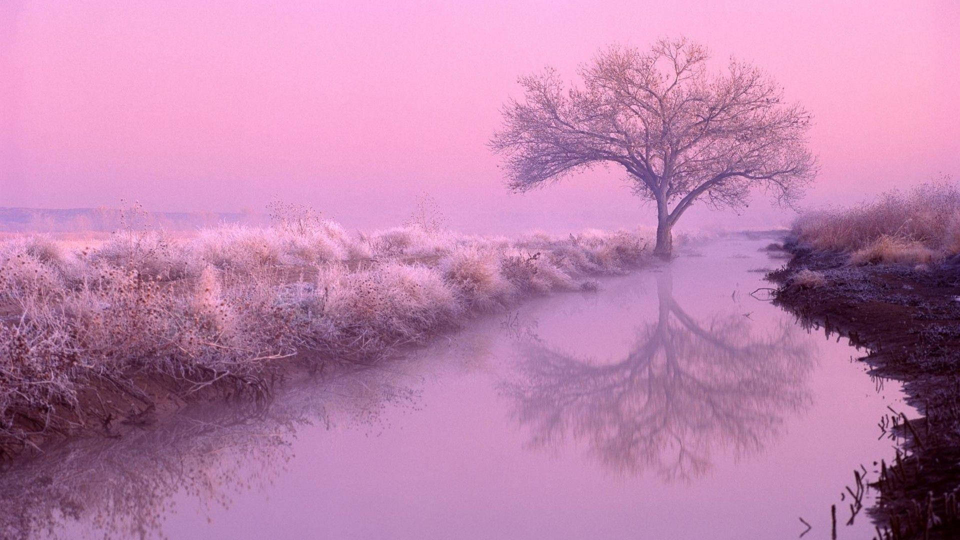 светло-розовая эстетичная река