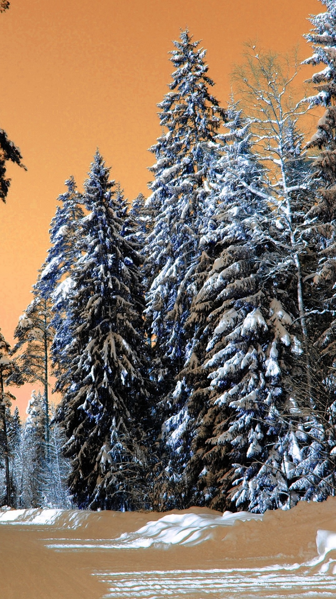 зима, дерево, природа, сезон, снег