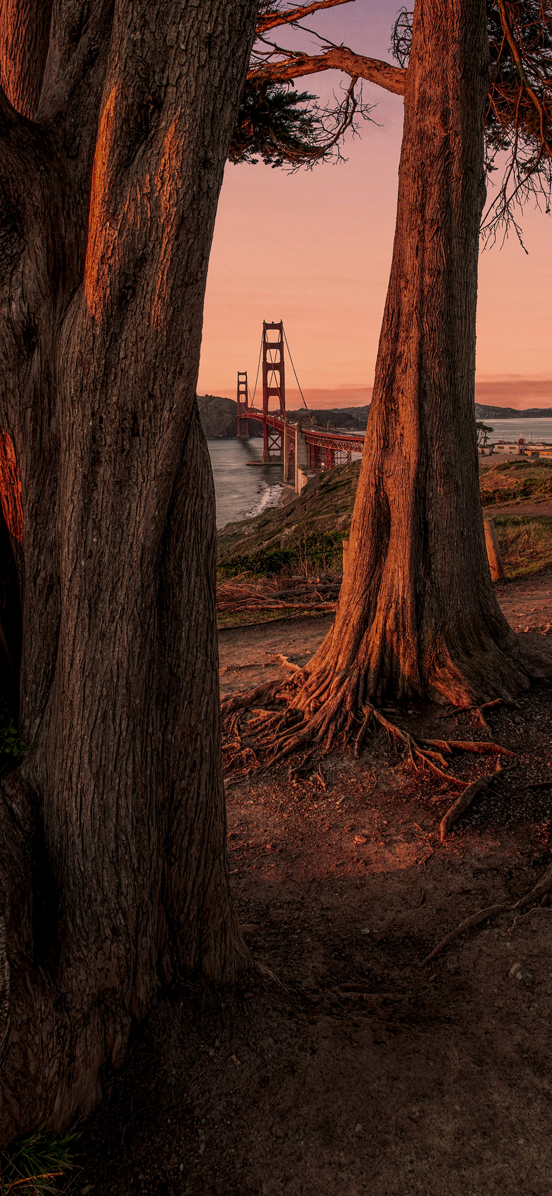 мост golden gate bridge америка