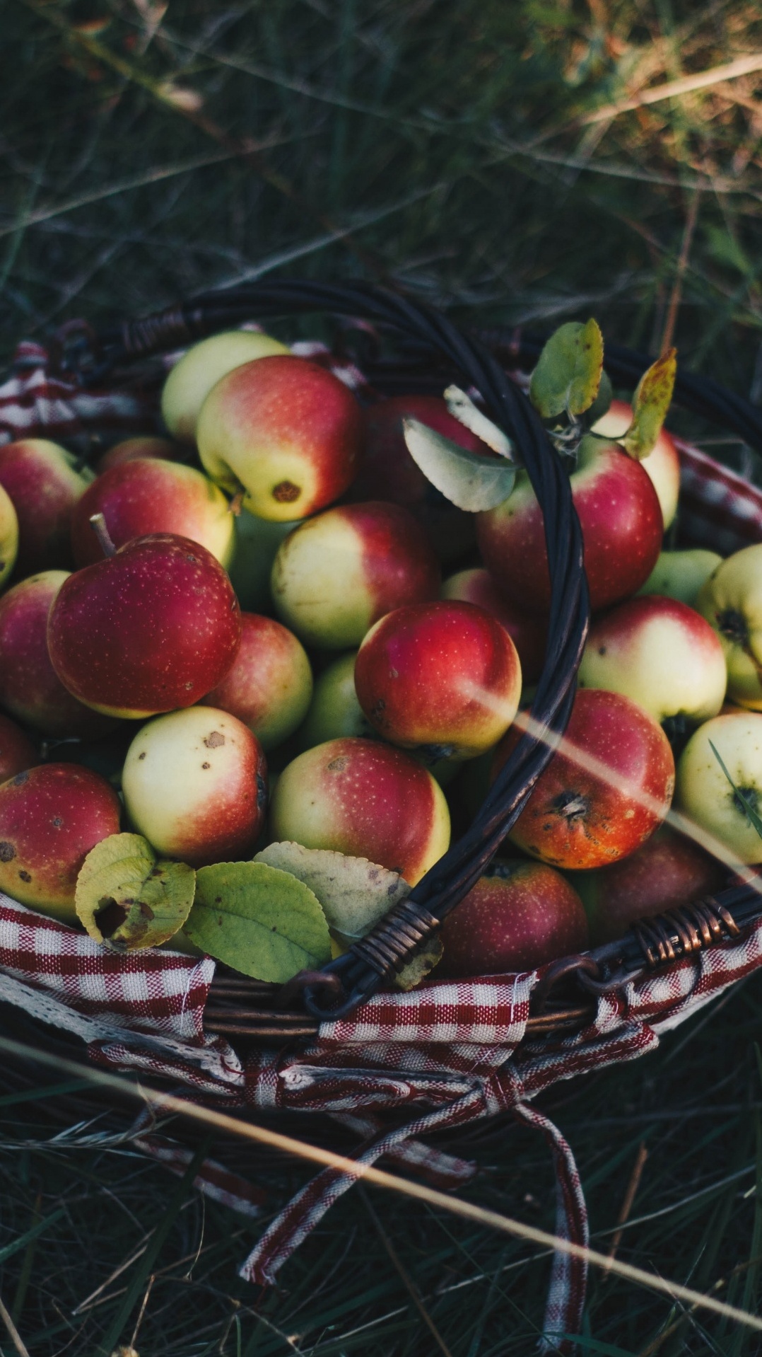 растение, пища, натюрморт, фрукты, apple