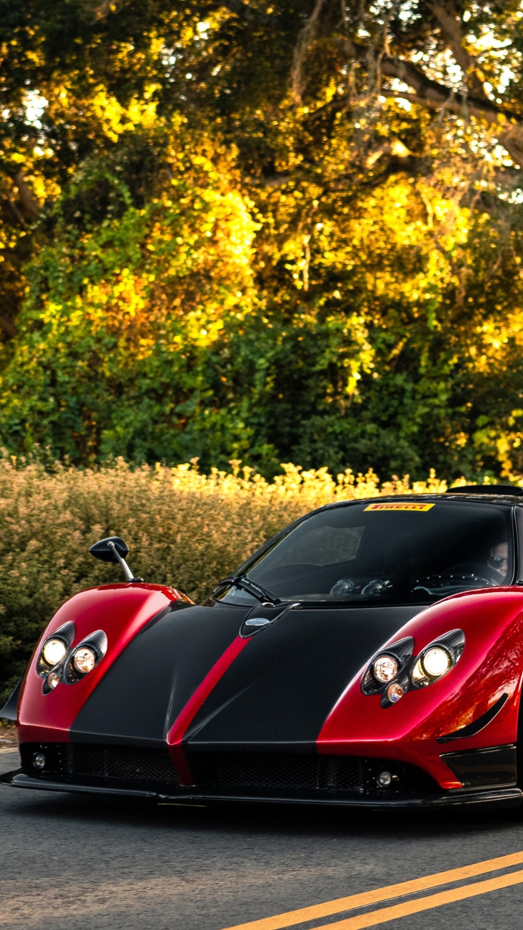 спорткар, pagani zonda, пагани хуайра, pagani, король