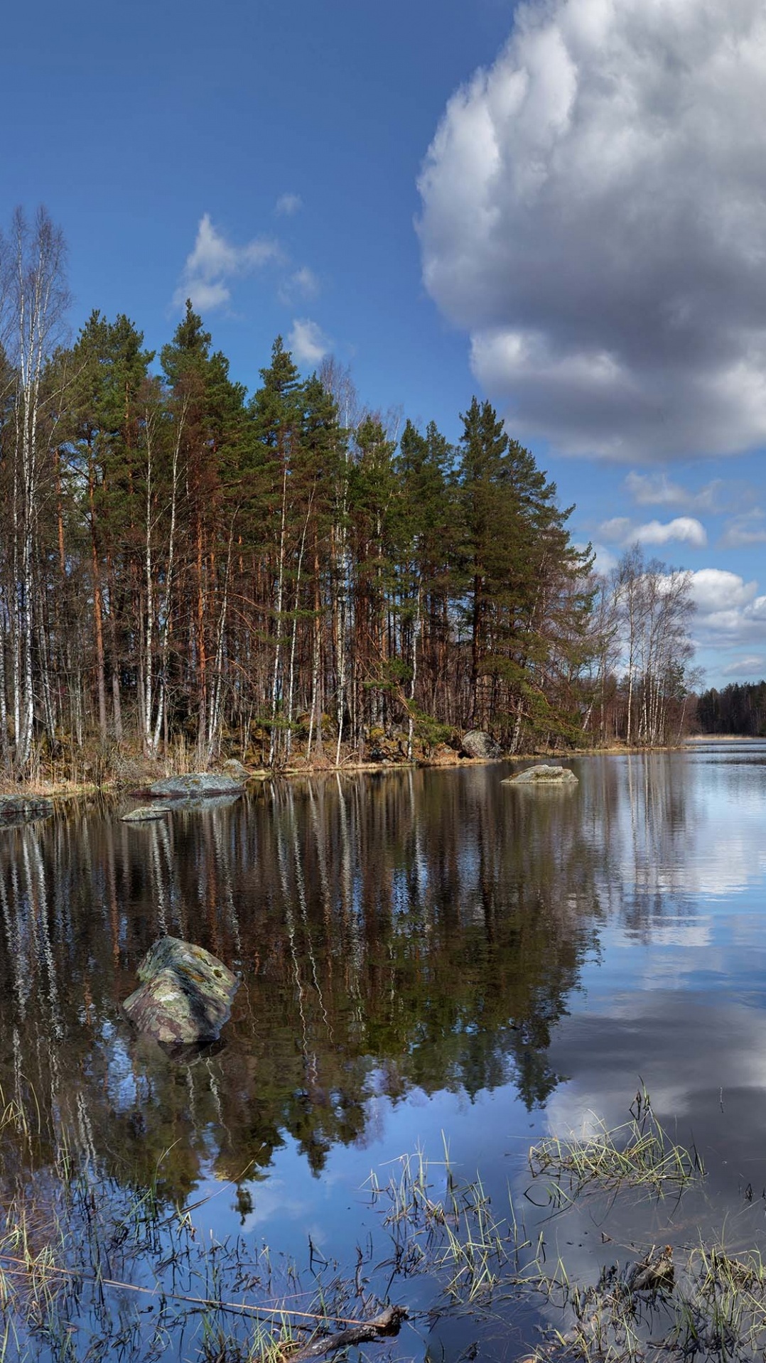 вода, республика карелия, отражение, природный ландшафт, природа