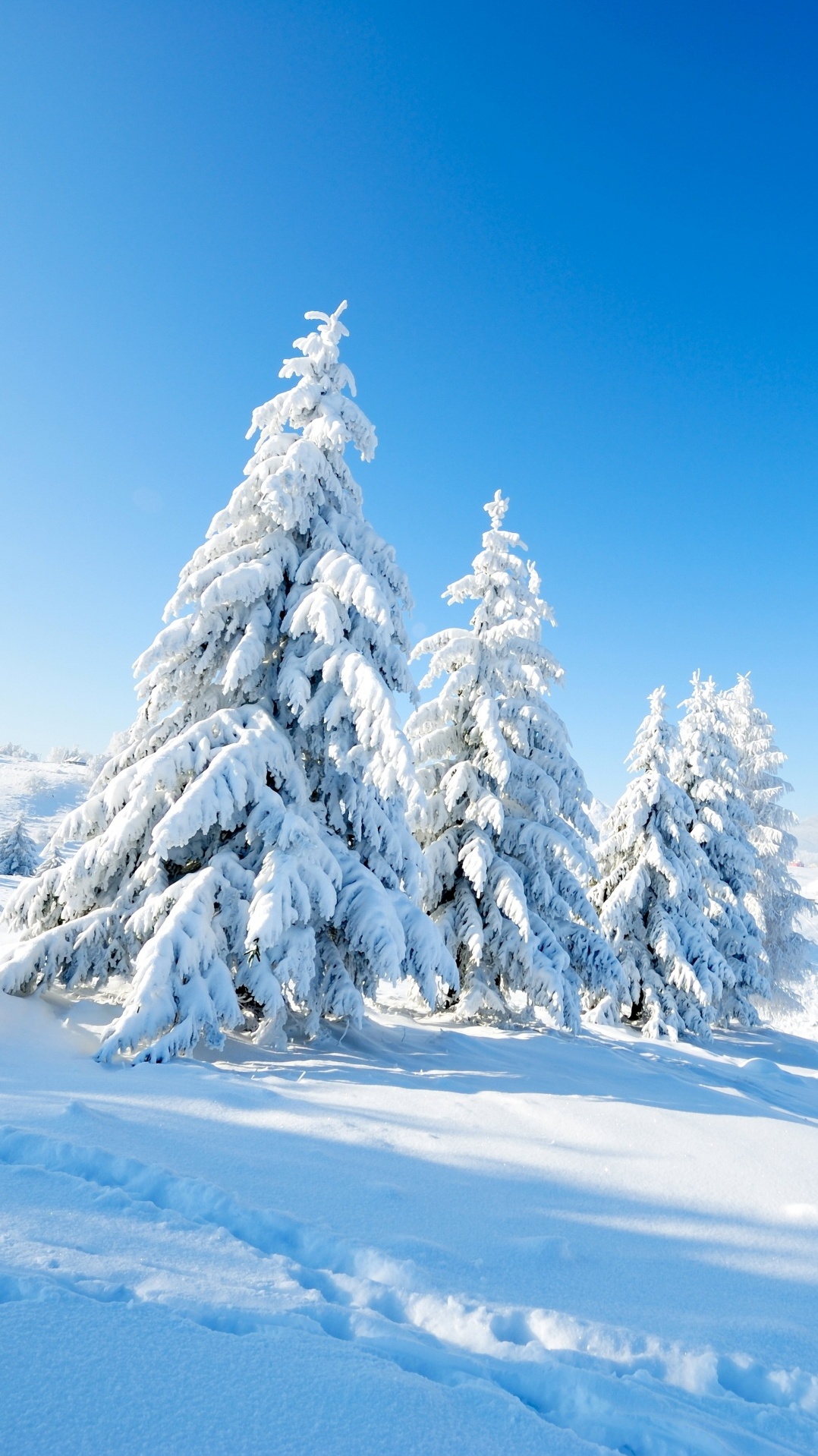 горный рельеф, природа, дерево, снег, зима