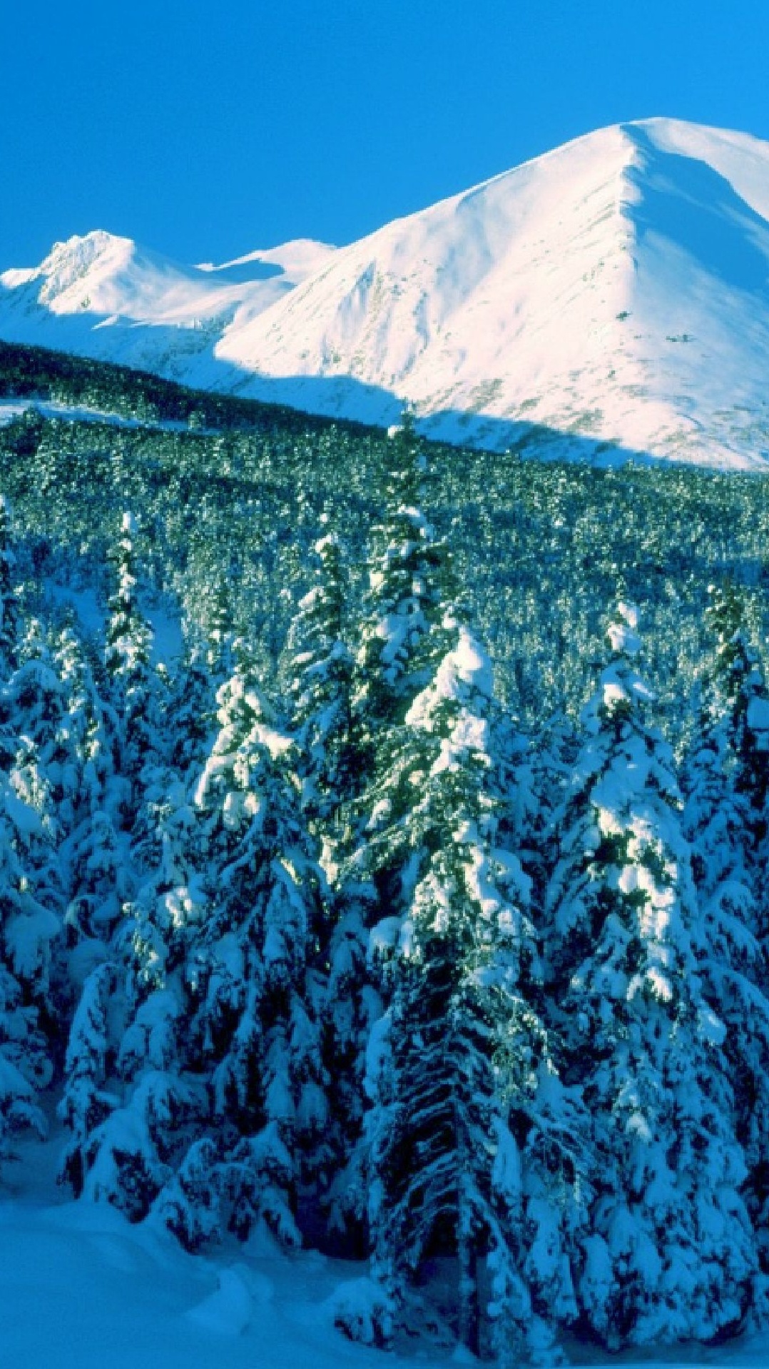 горный хребет, снег, дерево, зима, гора