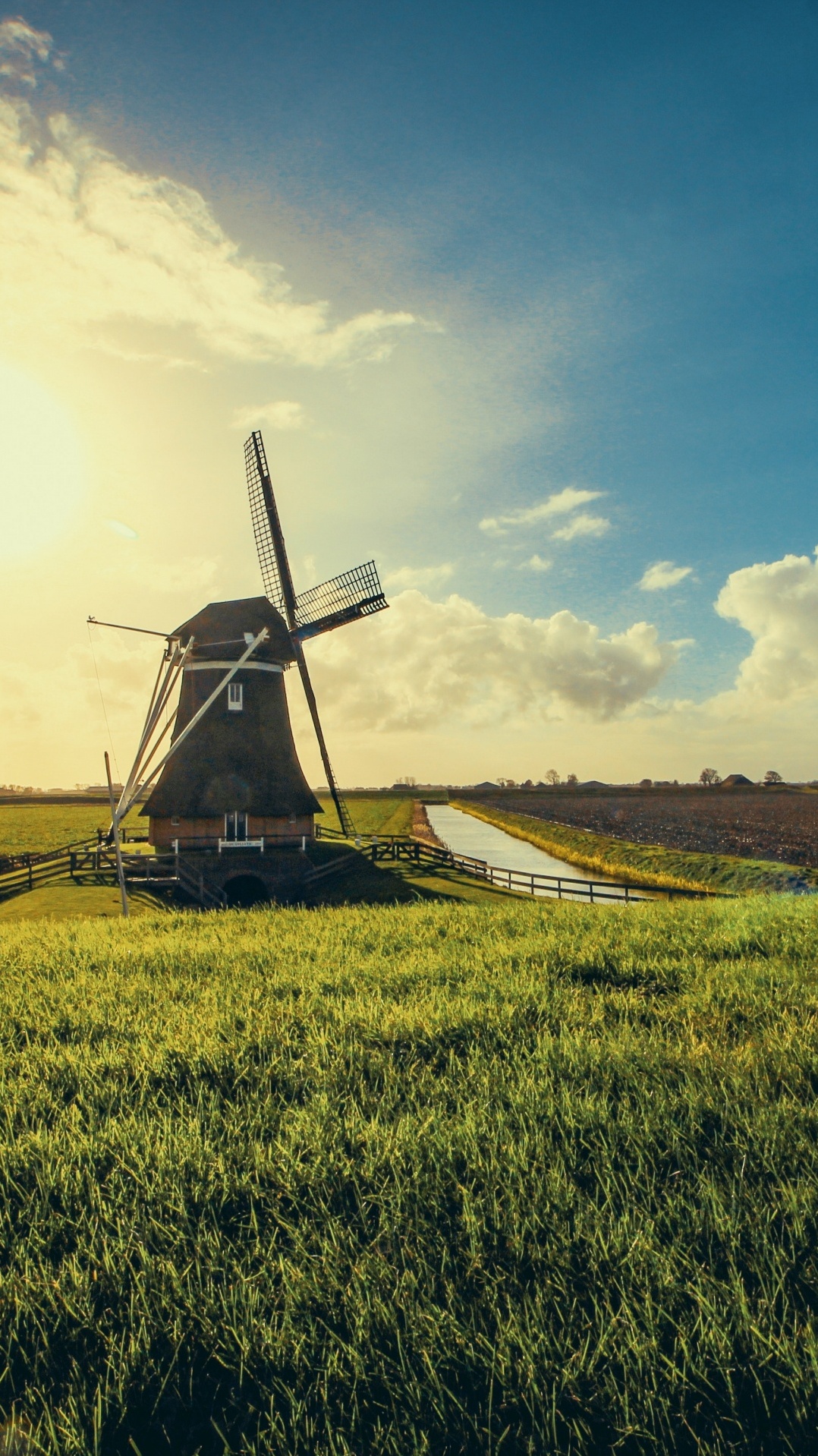 ферма, сенокосное угодье, поле, ветряная мельница, нидерланды