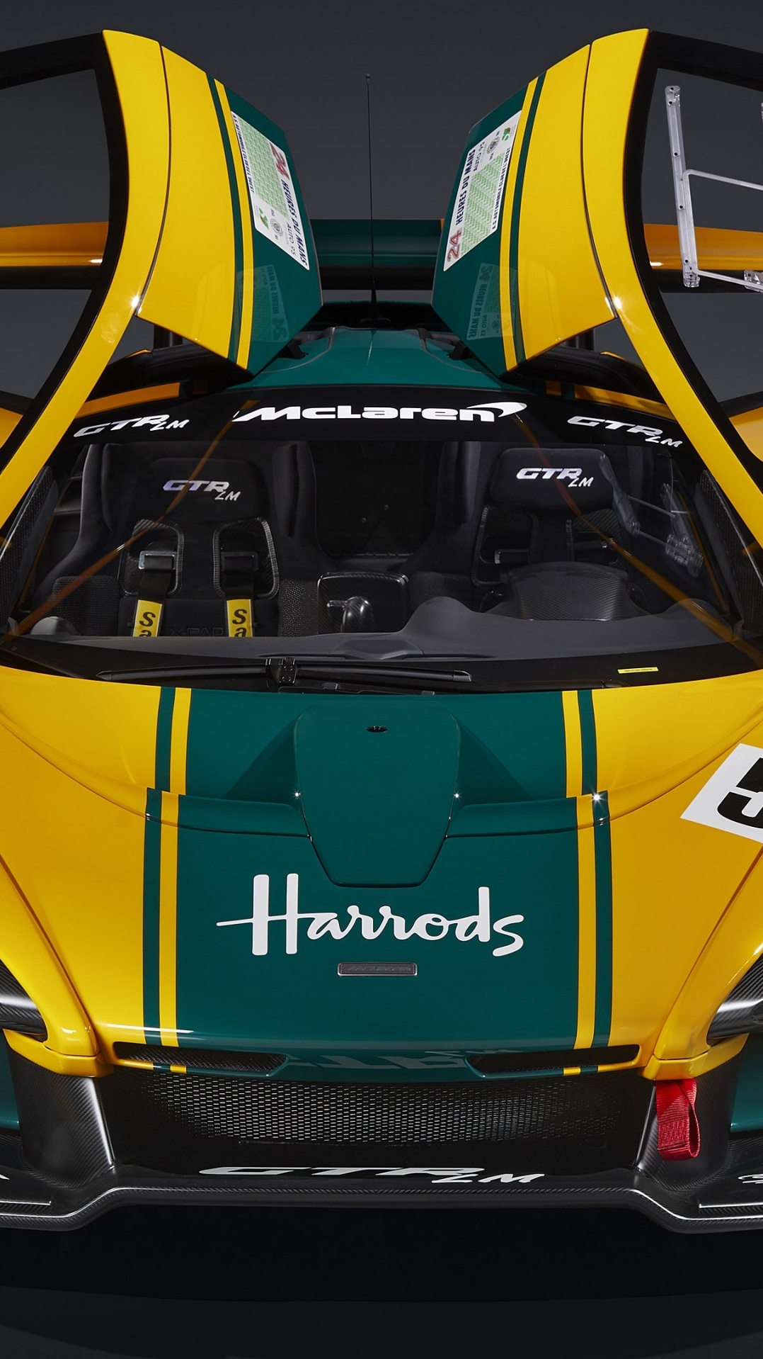 mclaren senna, 1995 24 часа ле-мана, макларен, mclaren f1 gtr, макларен сенна gtr lm 825 2