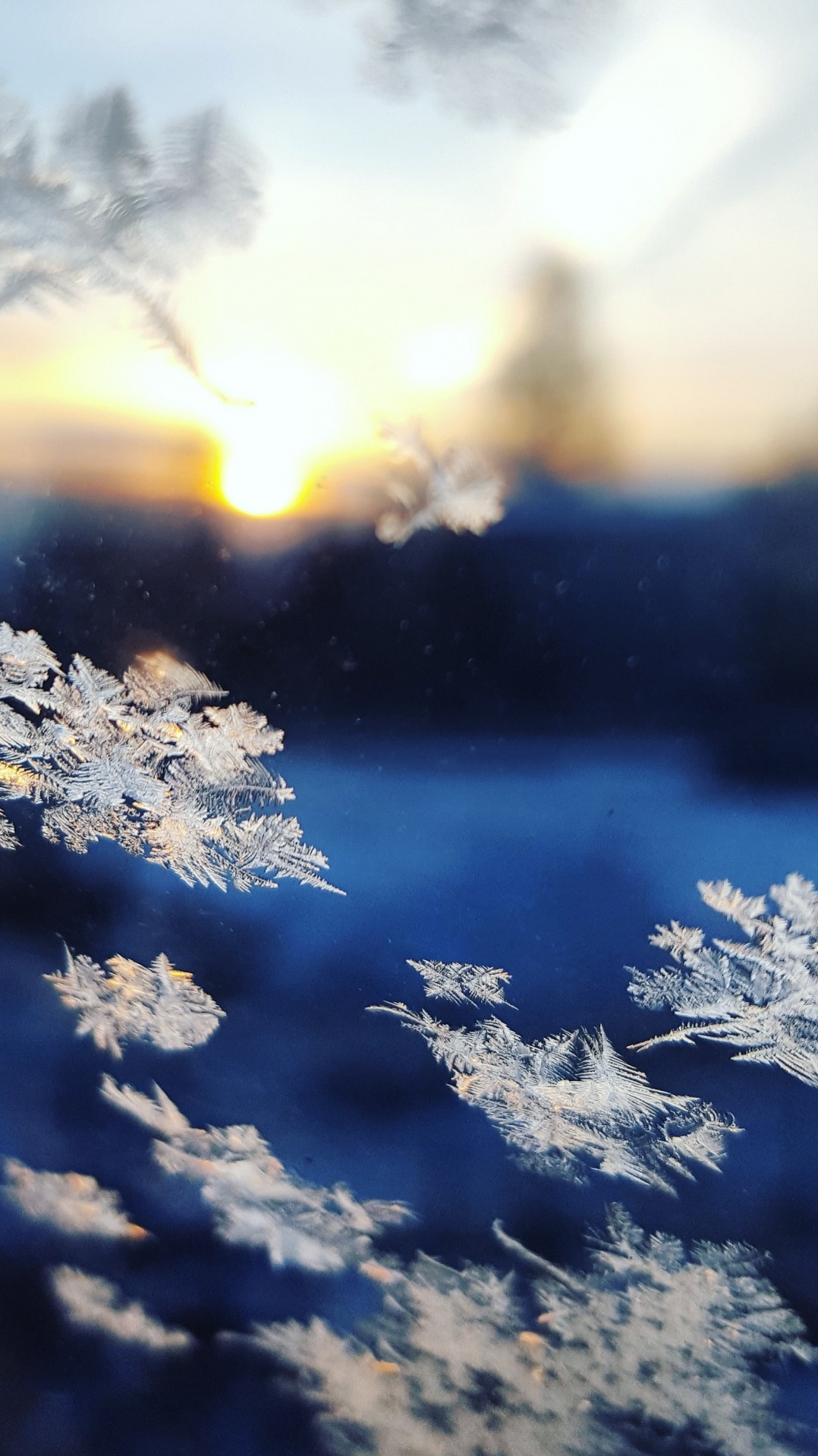 снежинка, дневное время, атмосфера, облако, снежинки падают