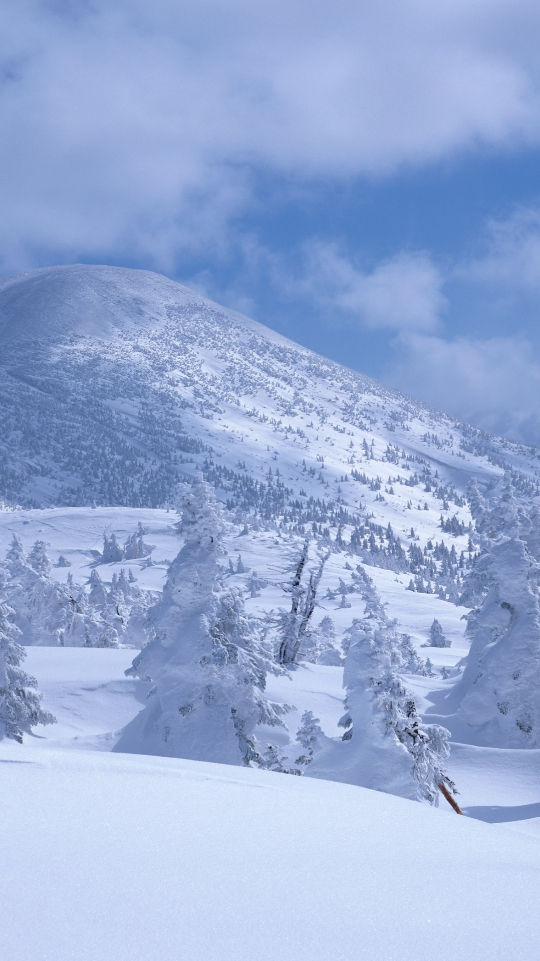 гора, снег, горный рельеф, зима, горный хребет