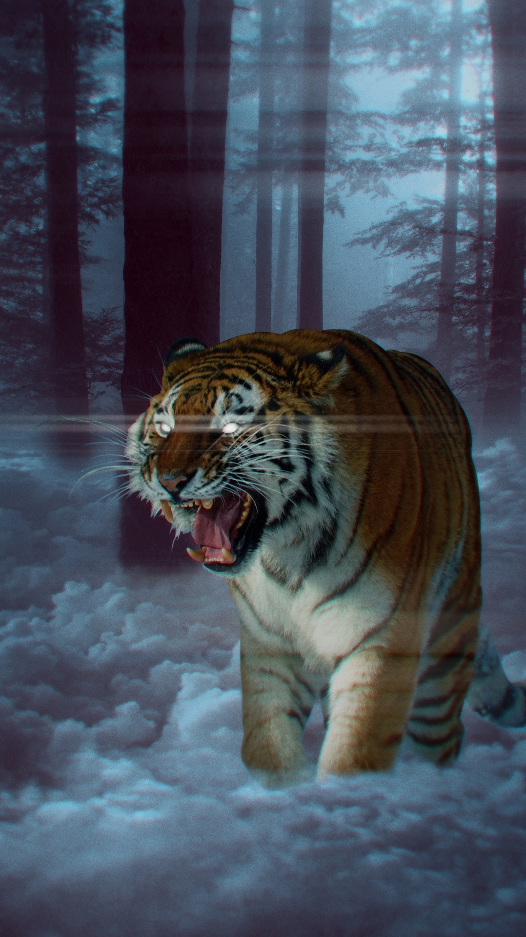 бенгальский тигр, лев, кошачьих, белый тигр, амурский тигр