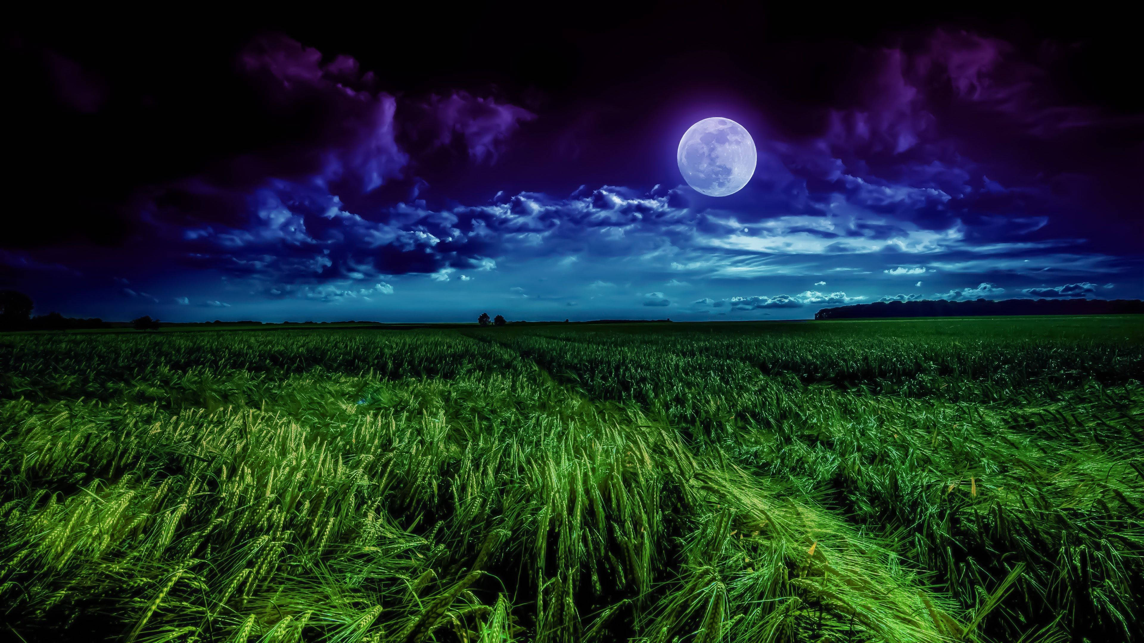 луна 4k синее эстетичное травяное поле
