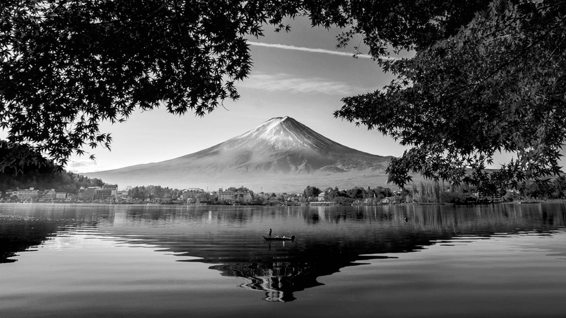 черно-белое художественное озеро