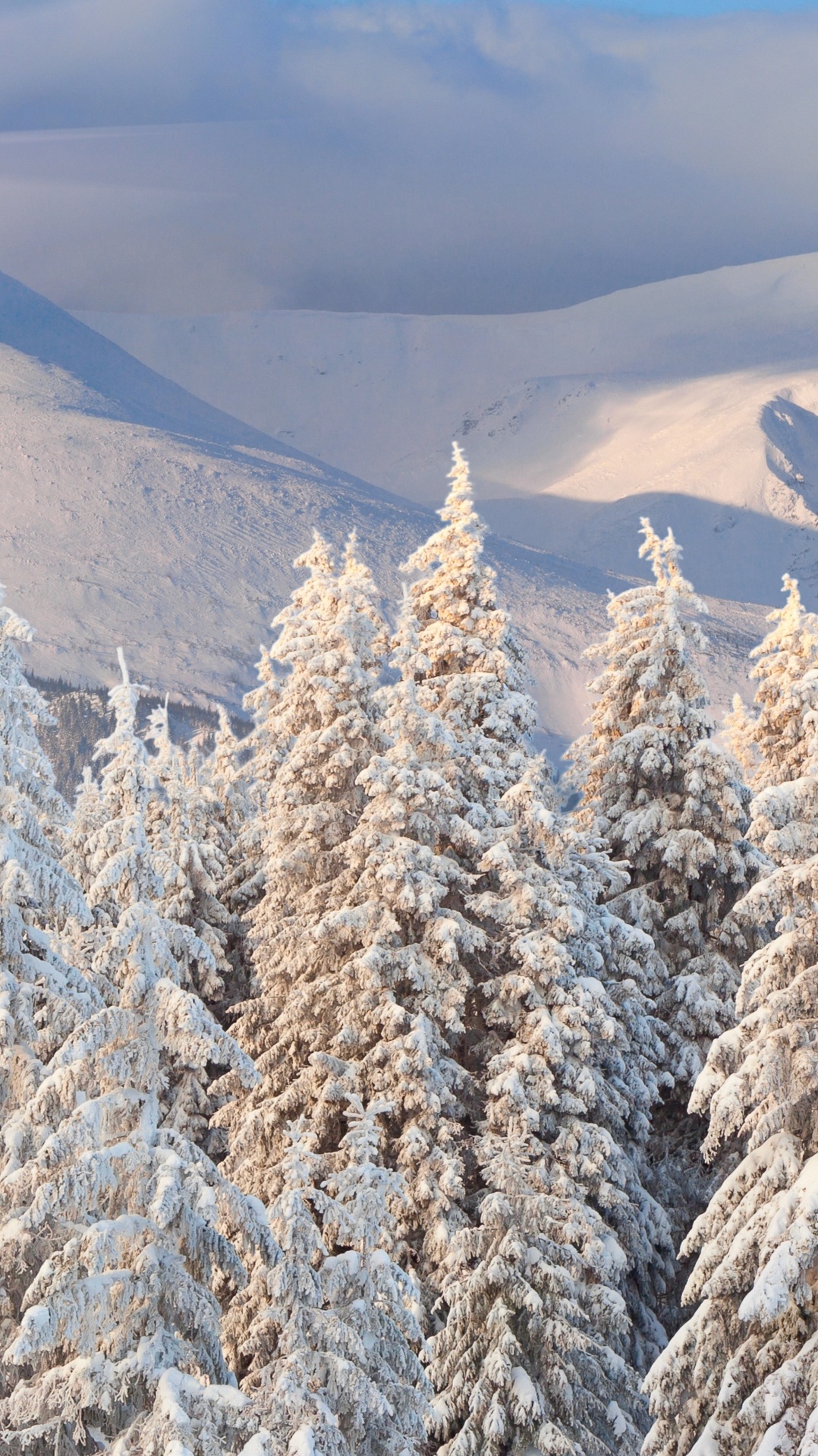 снег, дерево, зима, горный рельеф, гора