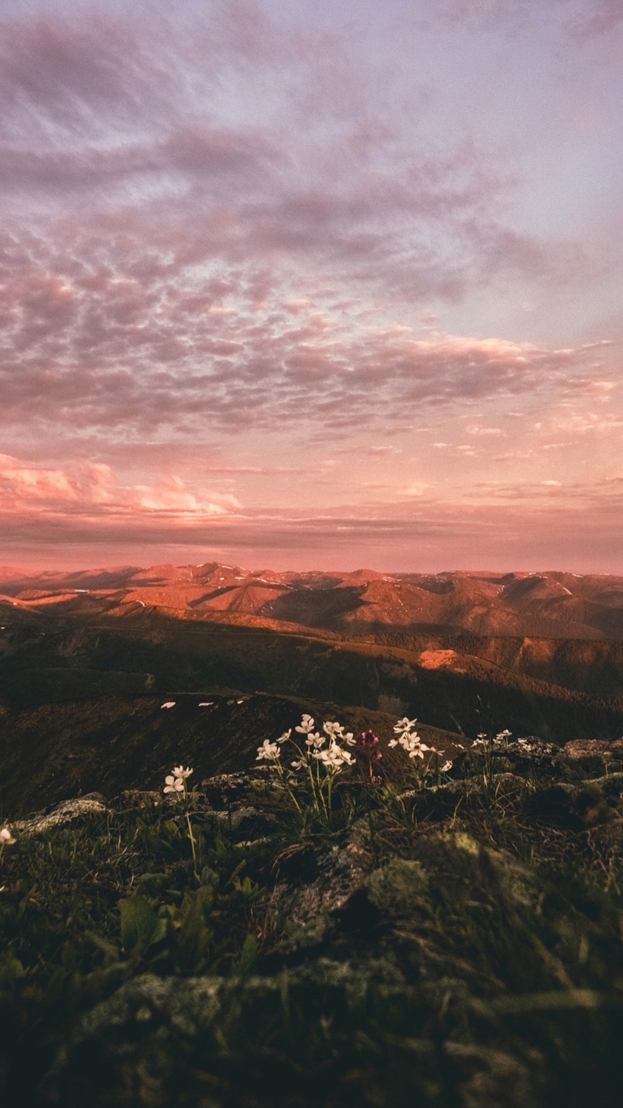 пейзаж в высоком качестве, закат в горах, розовые облака
