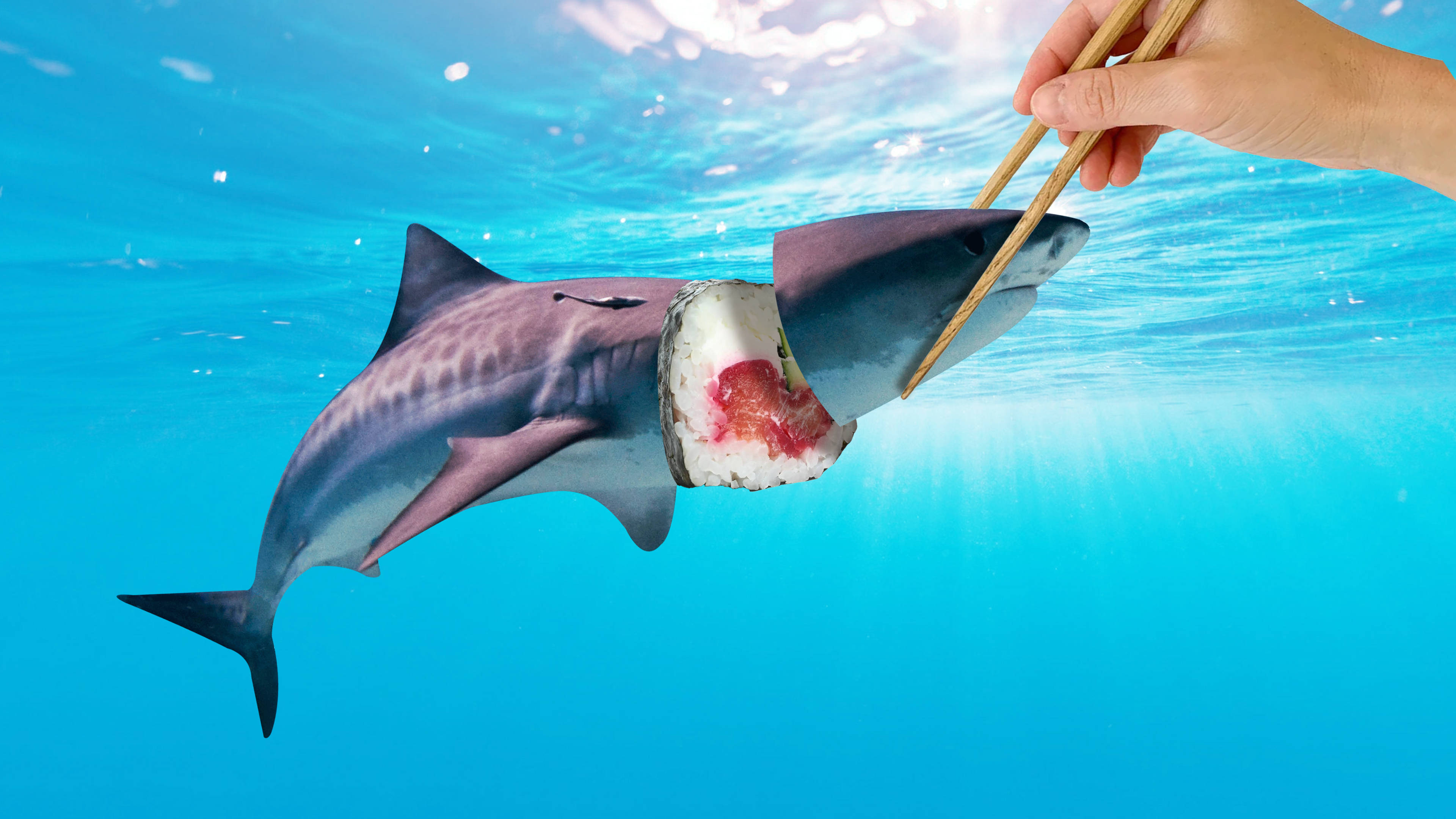уродливая суши-акула