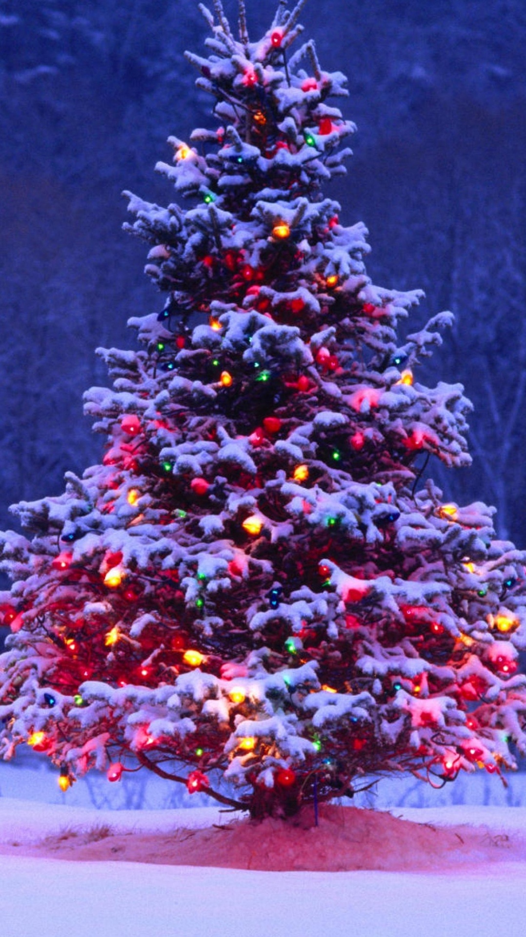 елка, рождественские украшения, дерево, рождественский день, зима