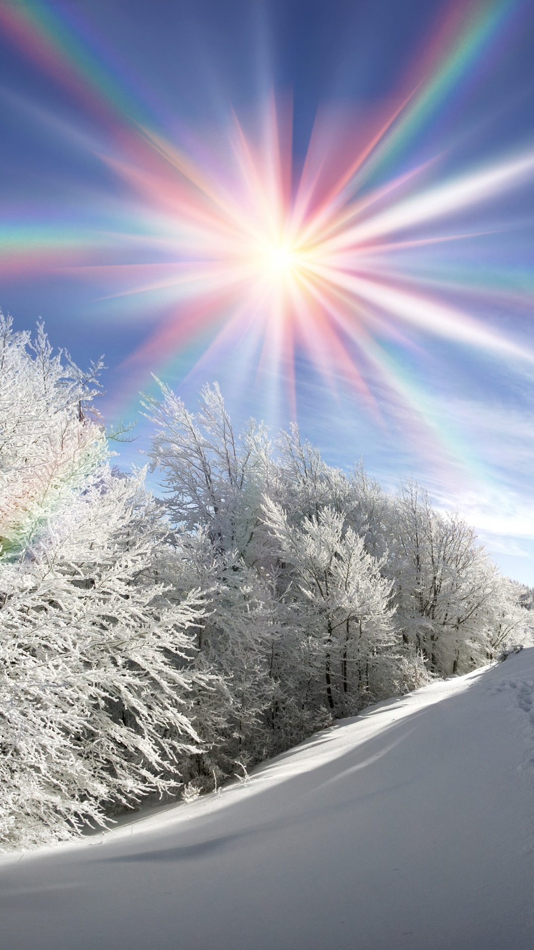 снег, солнечный свет, зима, природа, дерево