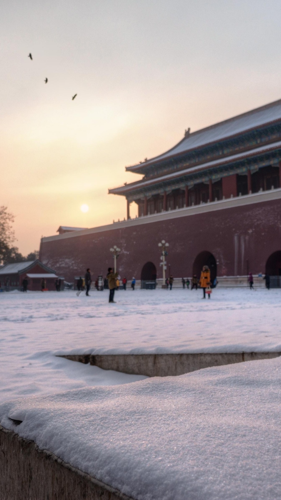 тяньаньмэнь, снег, запретный город, зима, замораживание