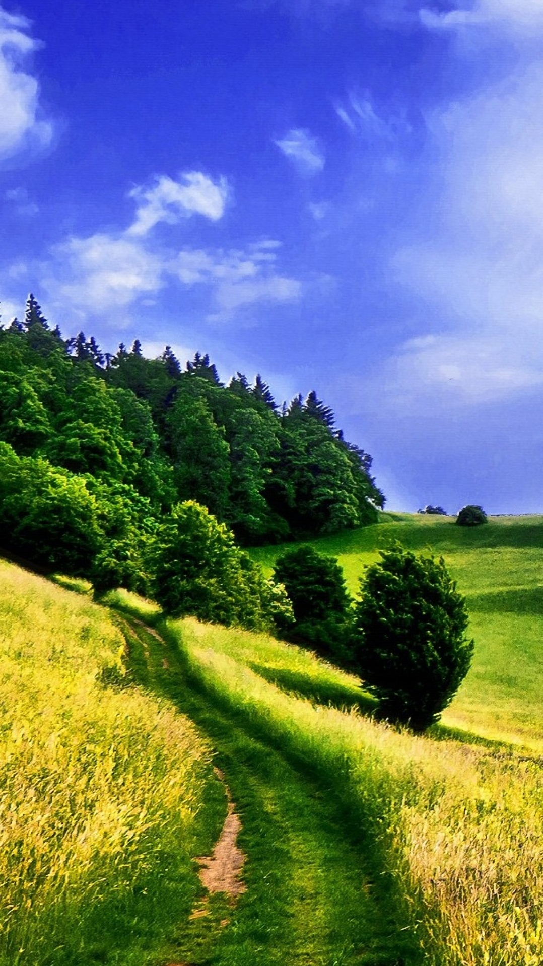 зеленый, холм, природный ландшафт, природа, сенокосное угодье