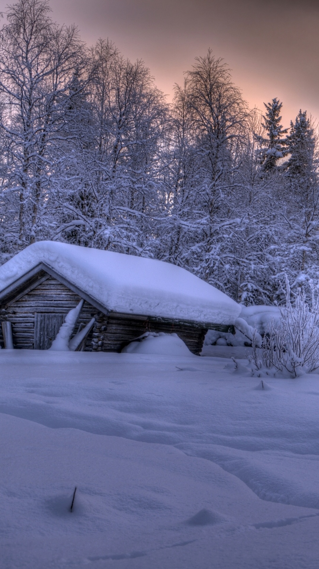 природа, снег, хаус, дерево, зима