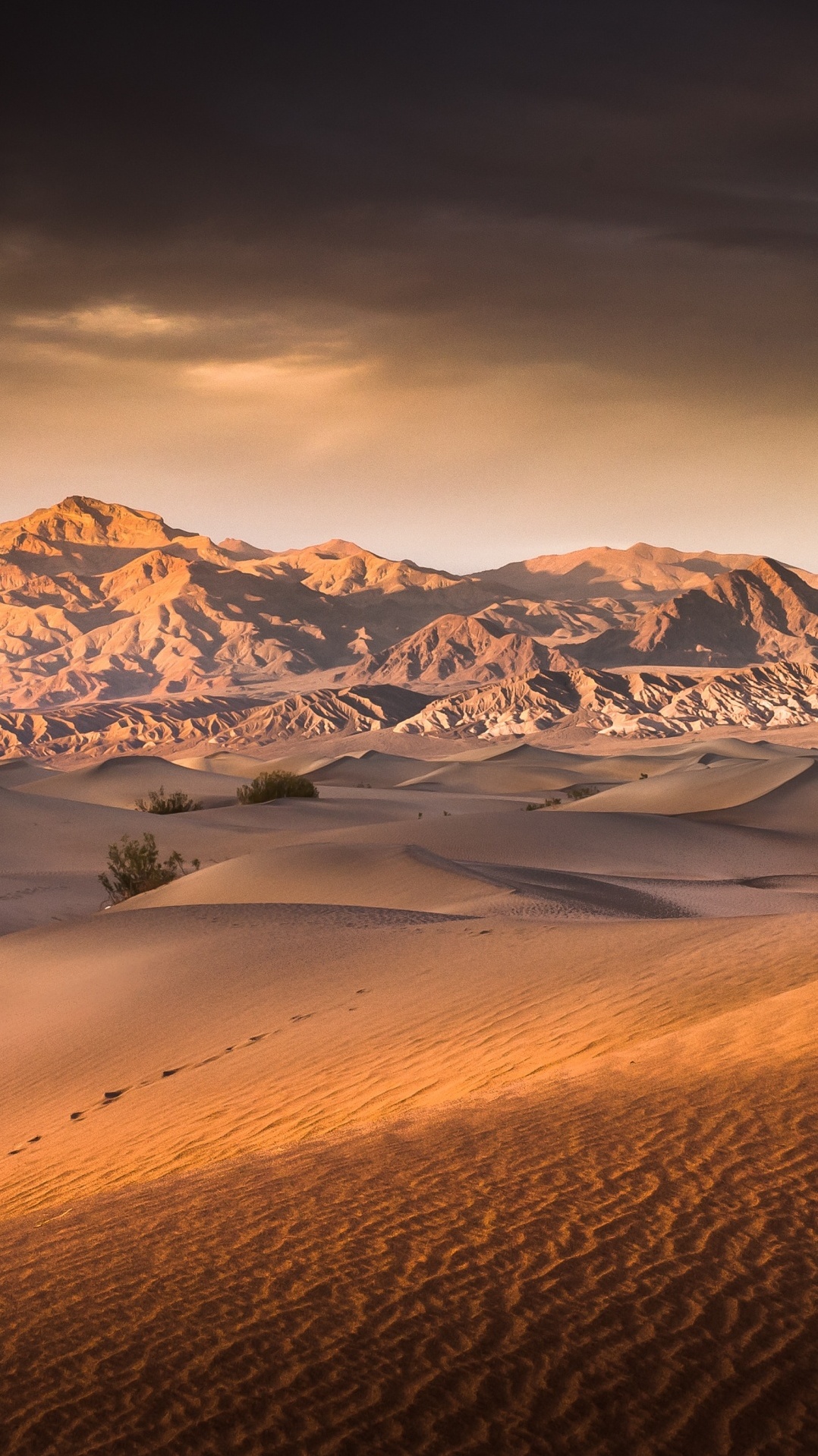 природа, дюна, окружающая среда, пустыня, песок