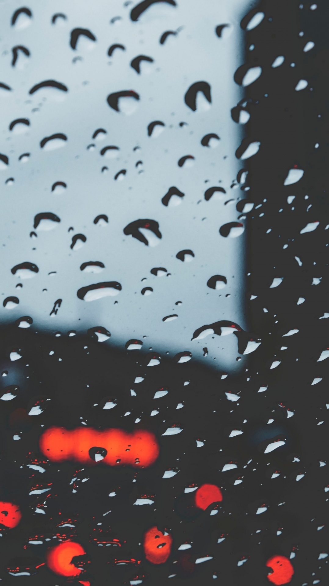 падение, дождь, осаждение, вода, мелкий дождь