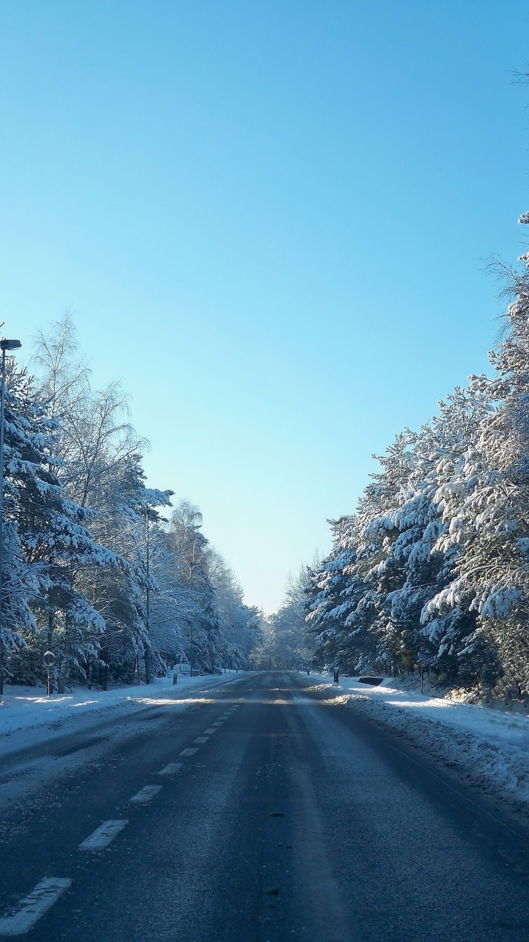 мороз, дерево, дорога, зима, снег