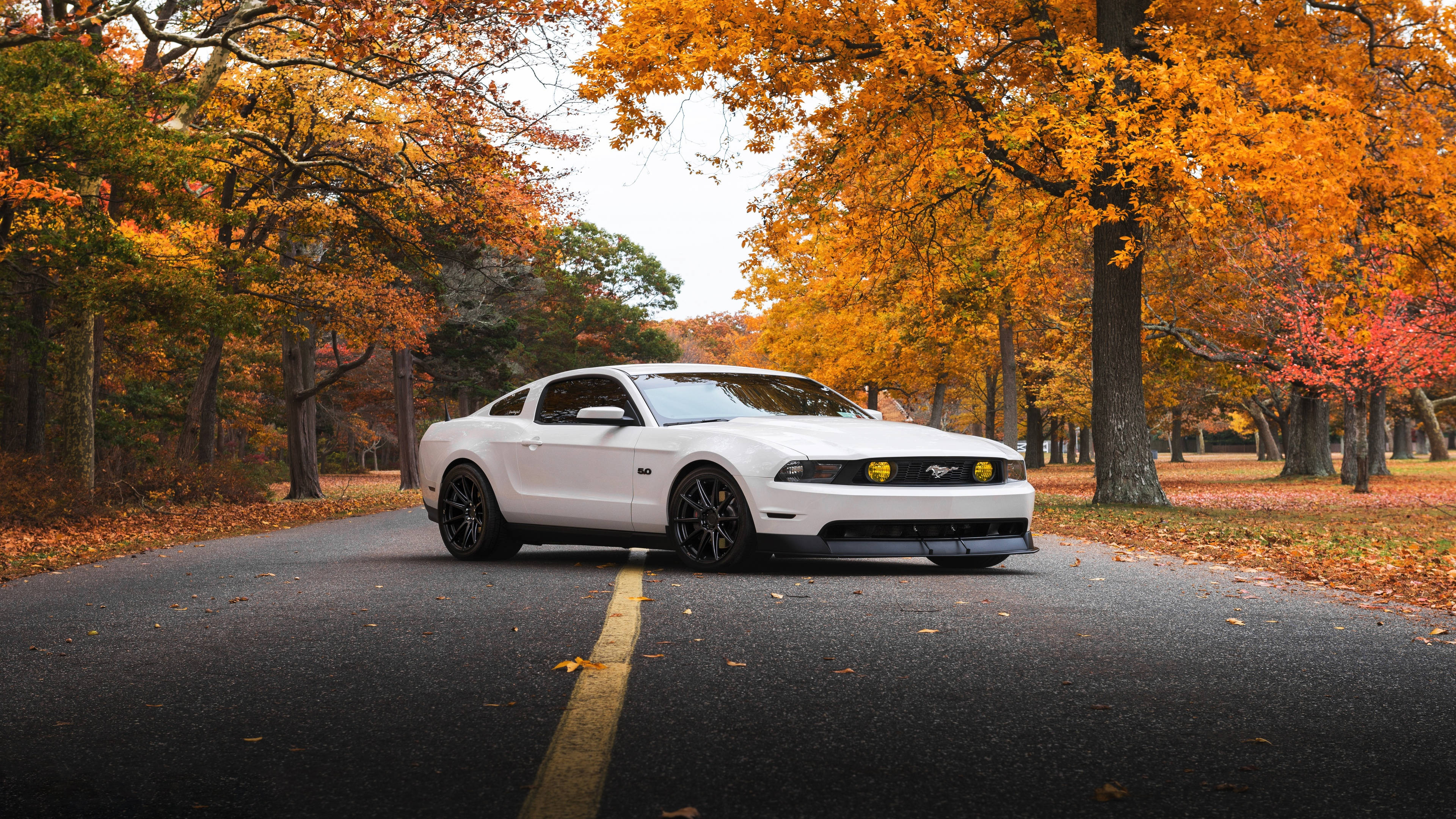 автомобиль 4k ultra hd mustang осенью