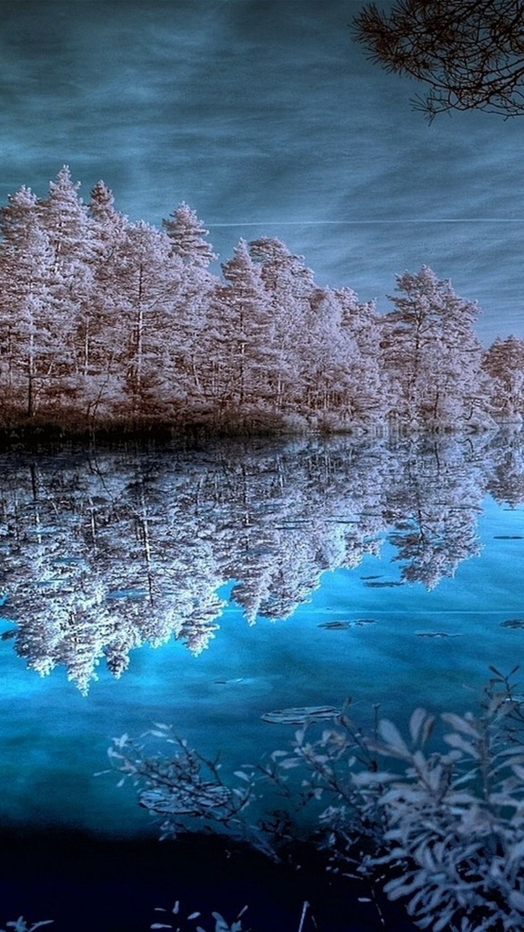 природа, отражение, вода, природный ландшафт, зима