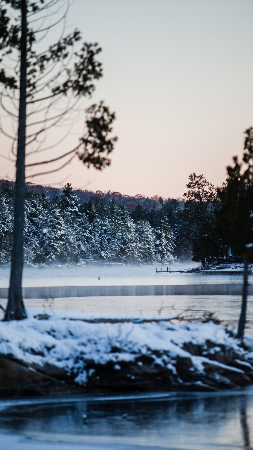 вода, дерево, снег, зима, природа