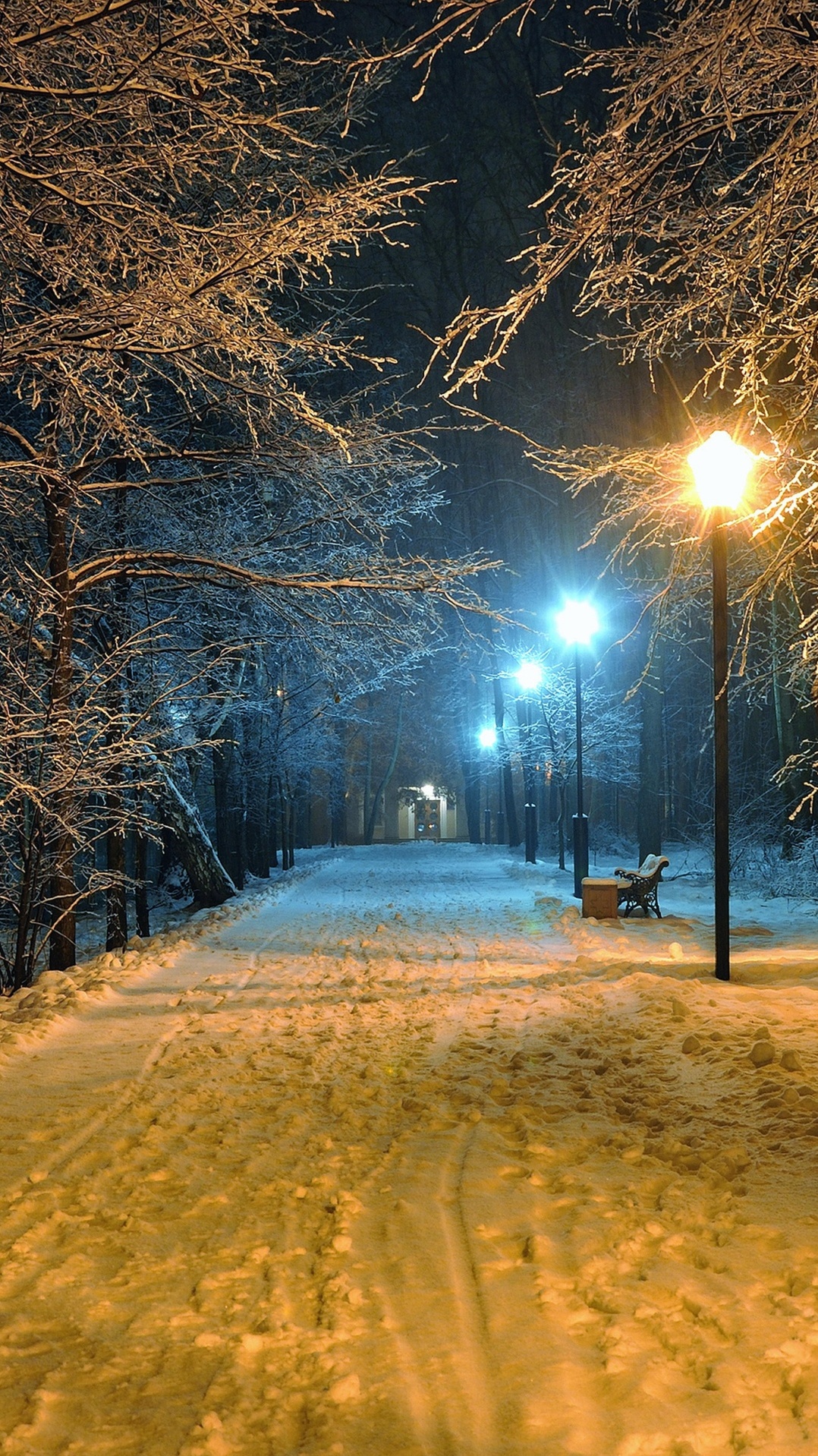 природа, снег, зима, дерево, ночь