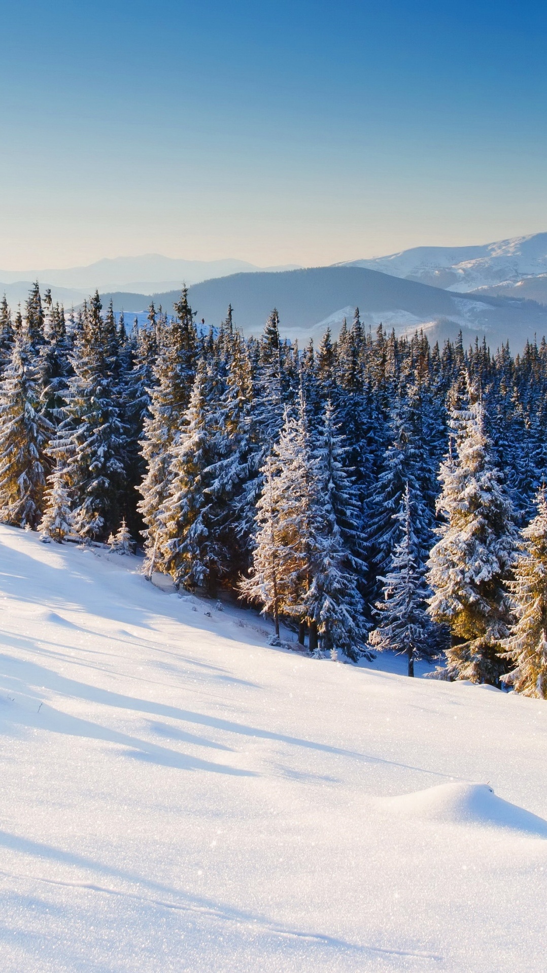 дерево, снег, дикая местность, горный рельеф, зима