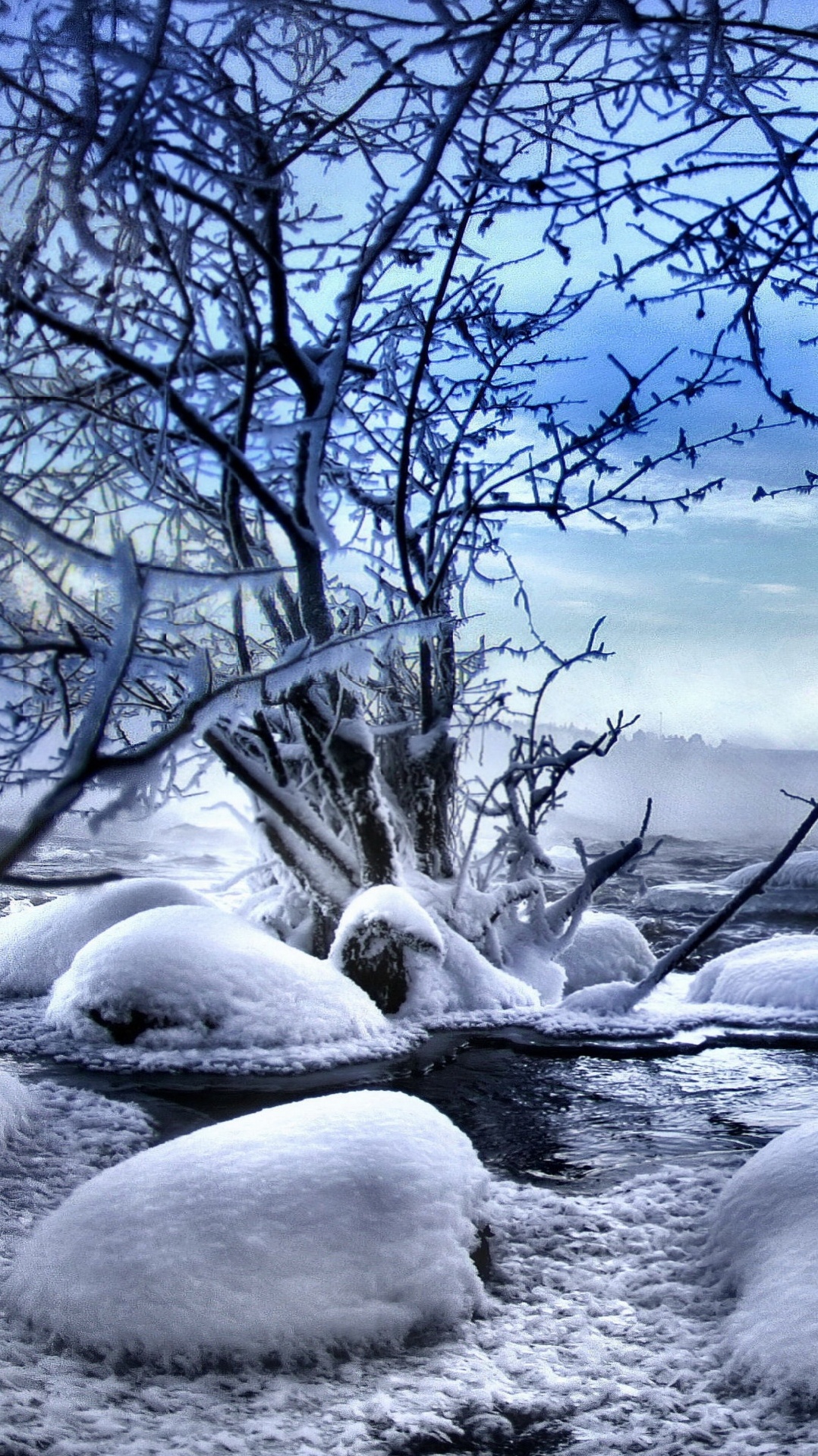 снег, дерево, замораживание, зима, природа